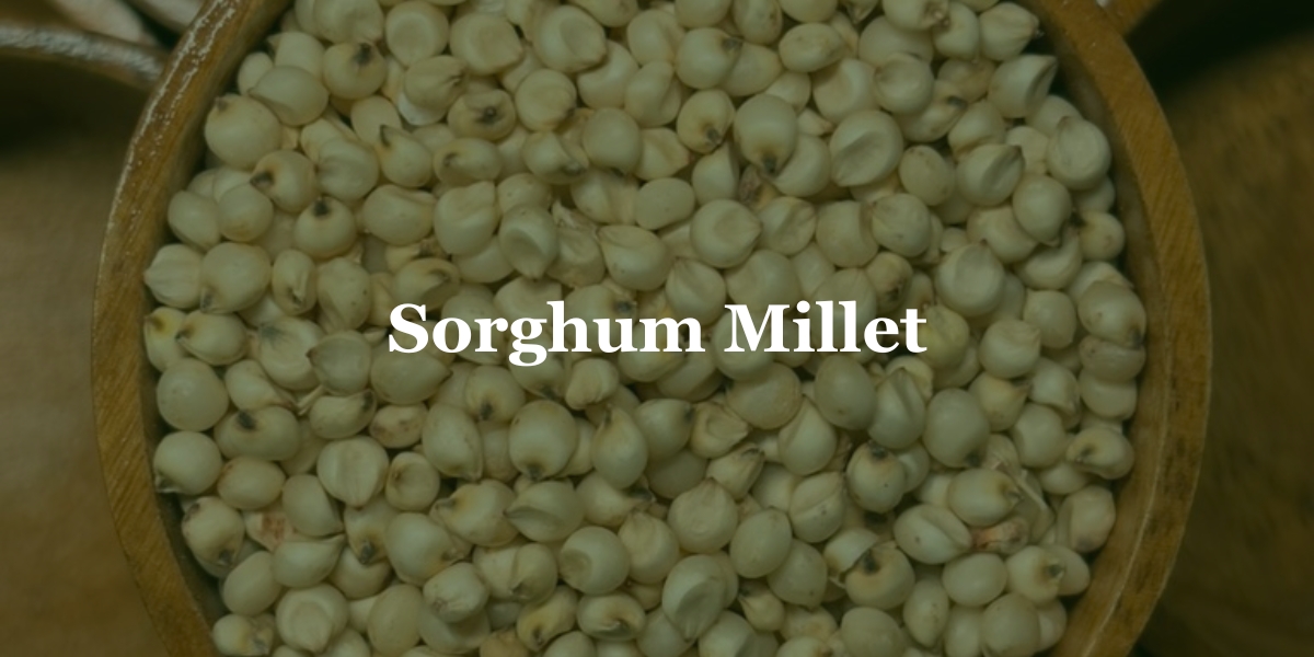 Sorghum Millets