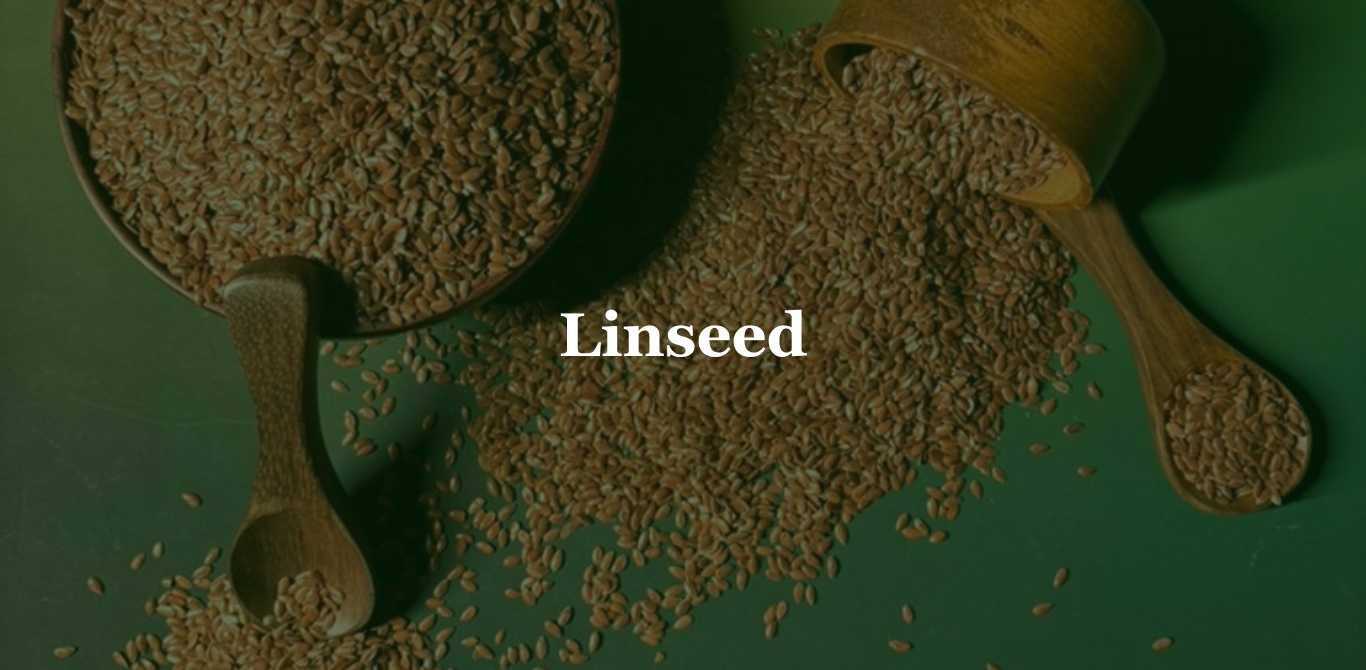 Green Chickpeas 3