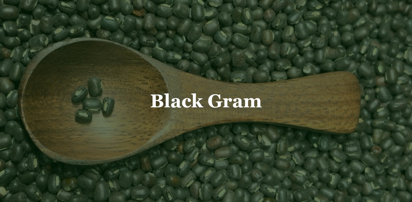 Horse Gram 1