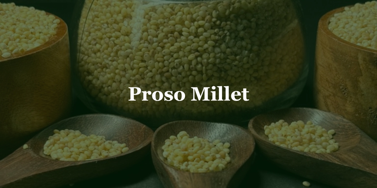 Proso Millets