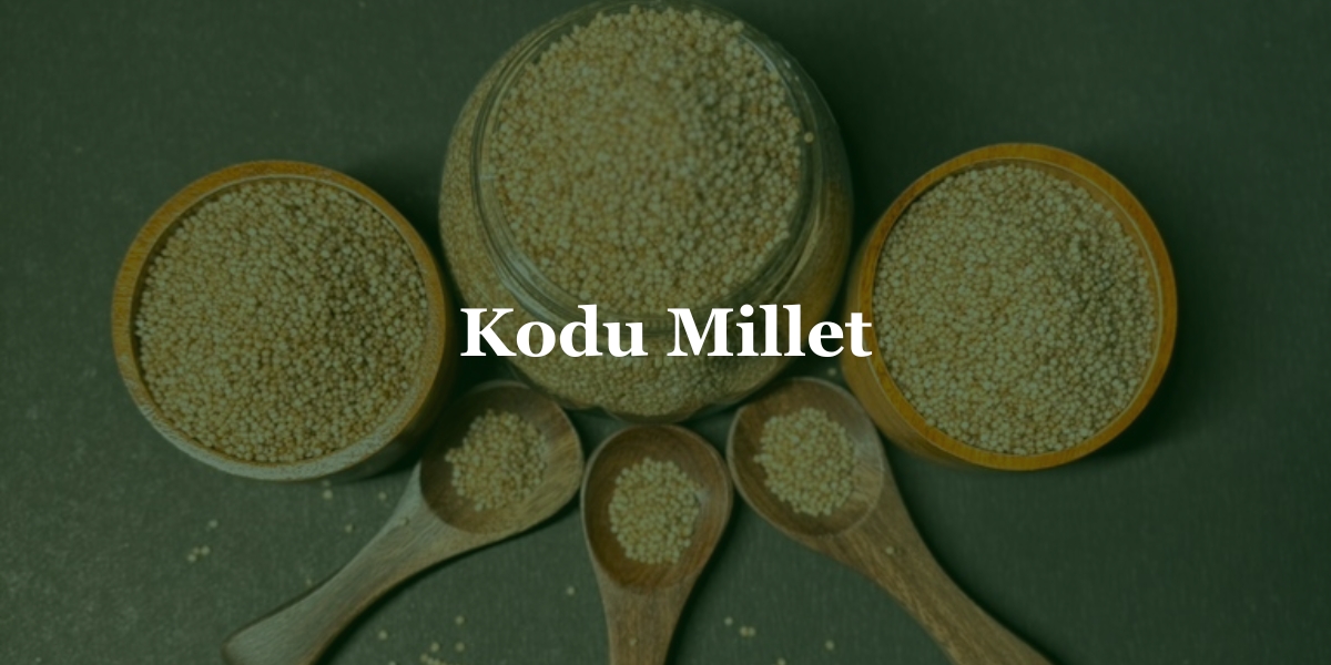 Kodu Millets