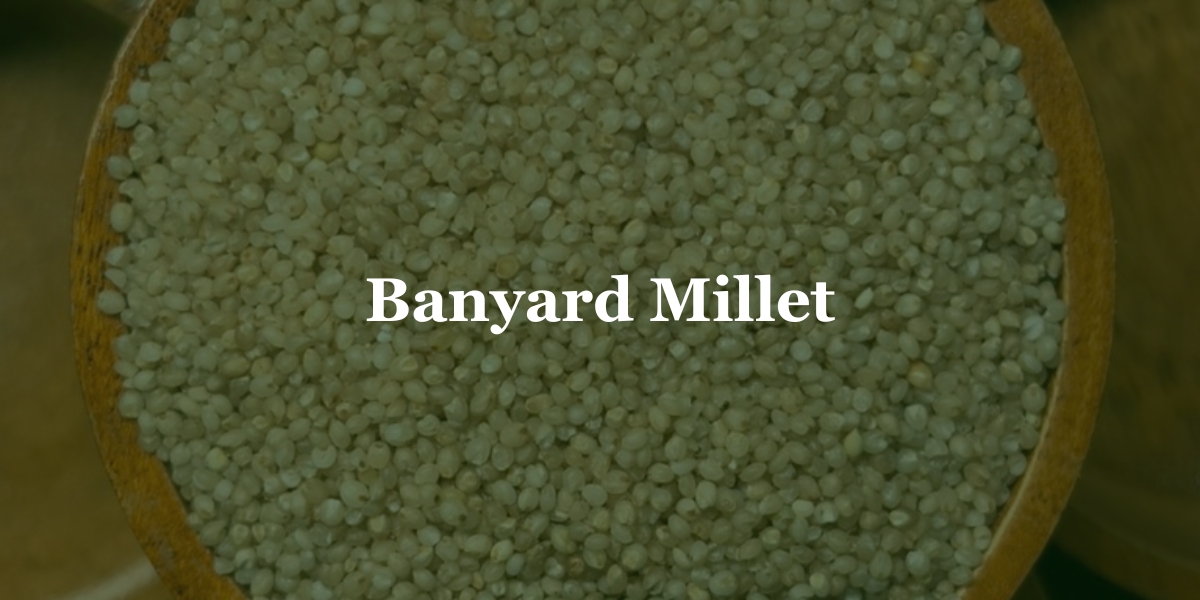 Barnyard Millets