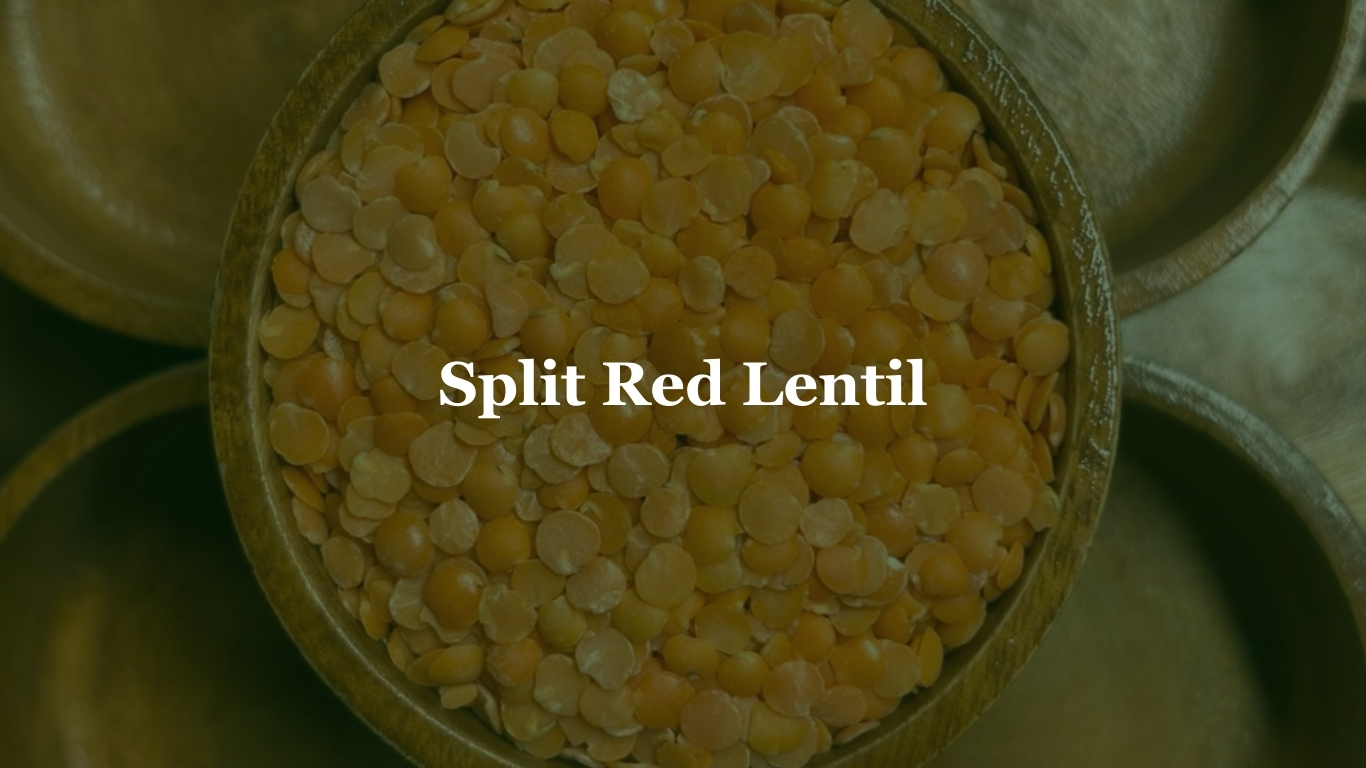 Split Red Lentil