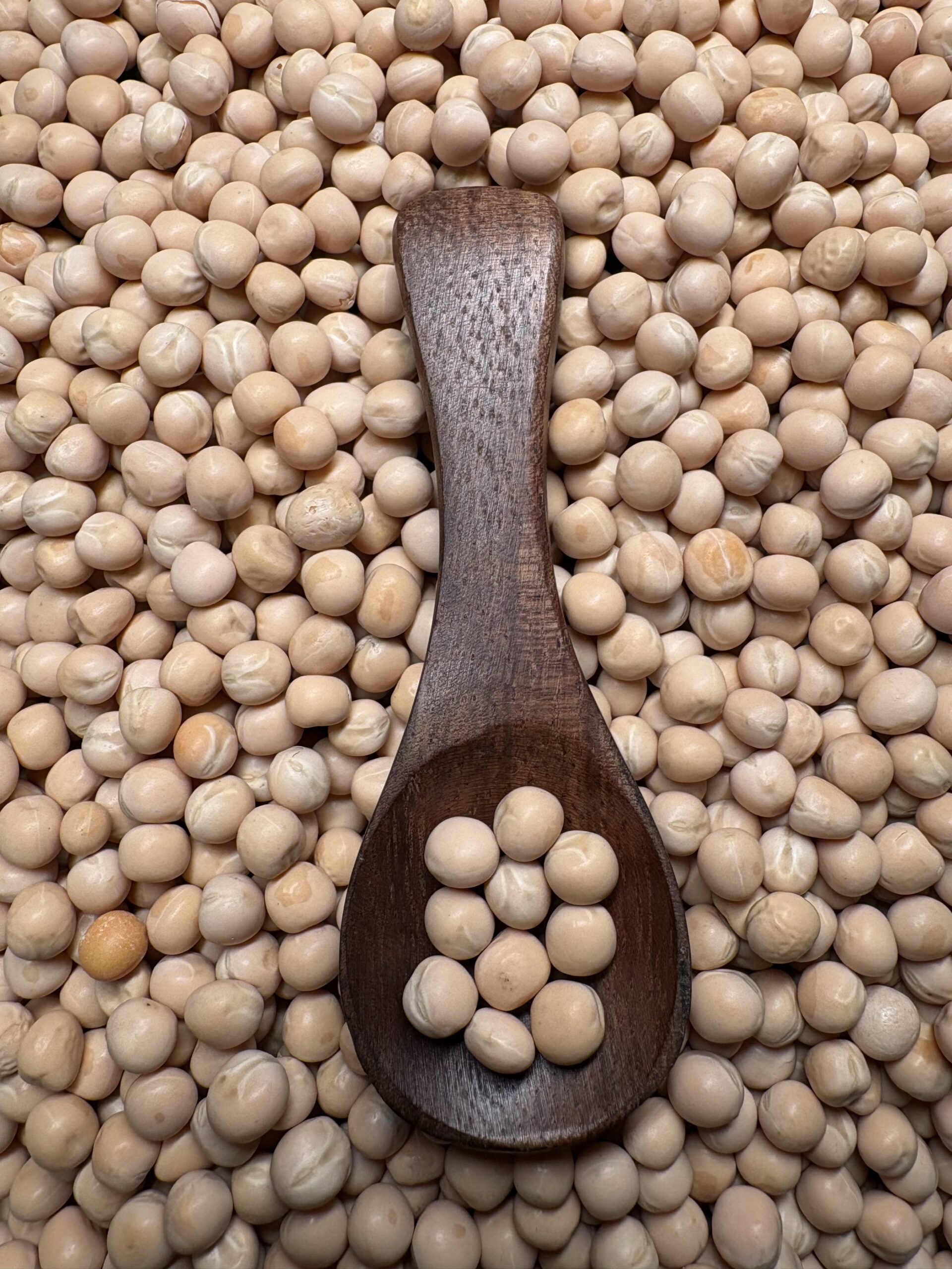 Dried White Peas 3