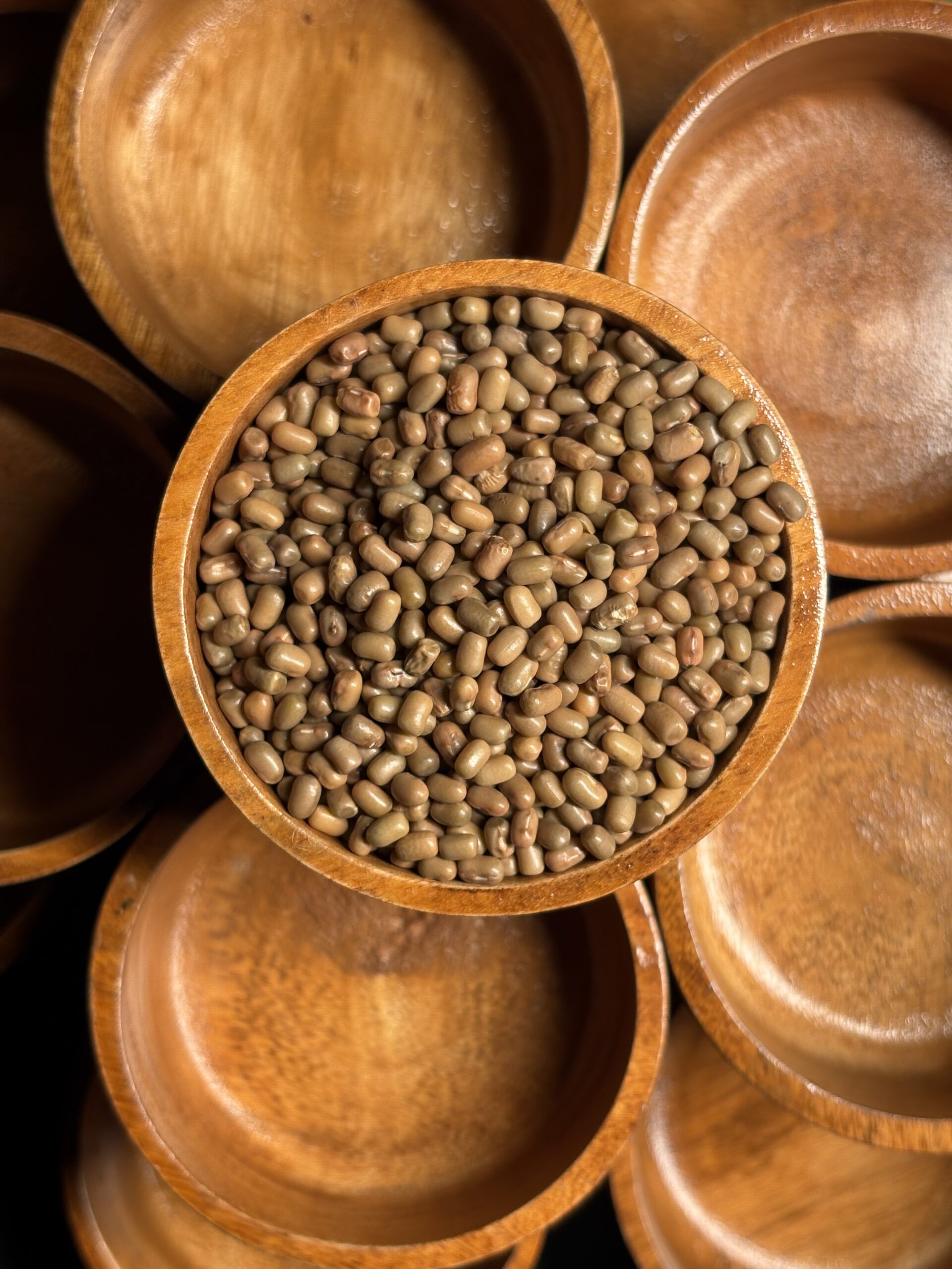 Pinto Bean 4