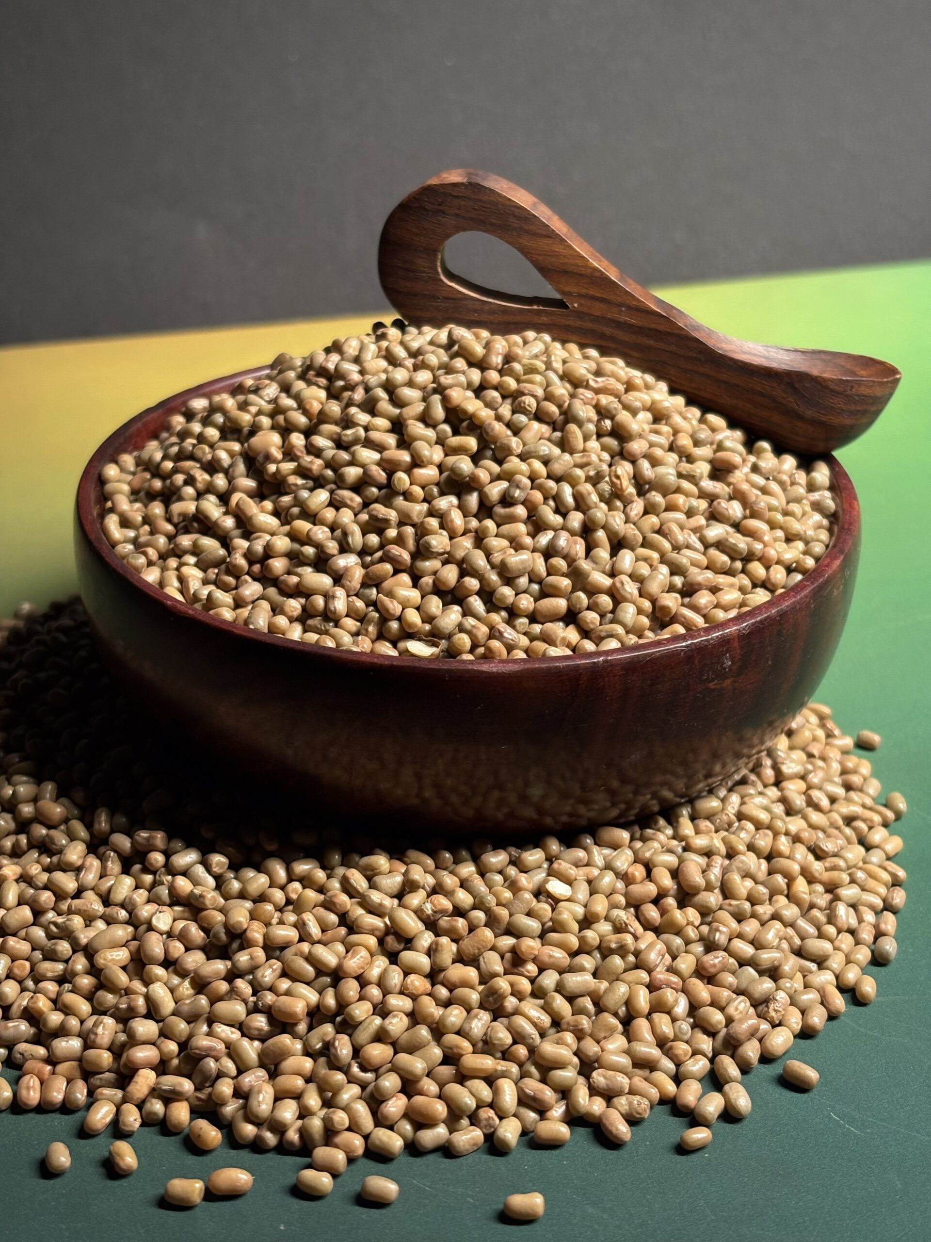 Pinto Bean 6