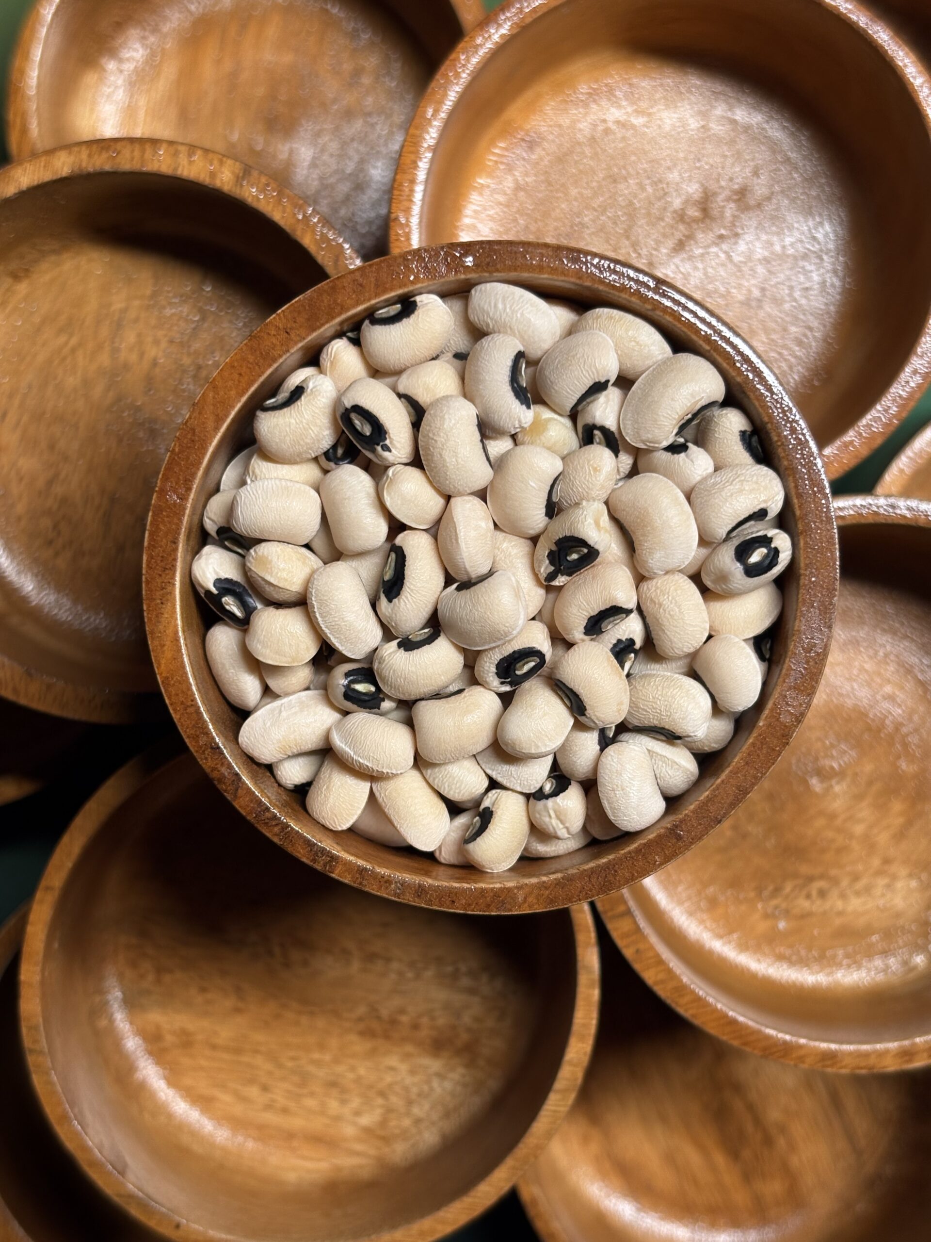 Pinto Bean 10