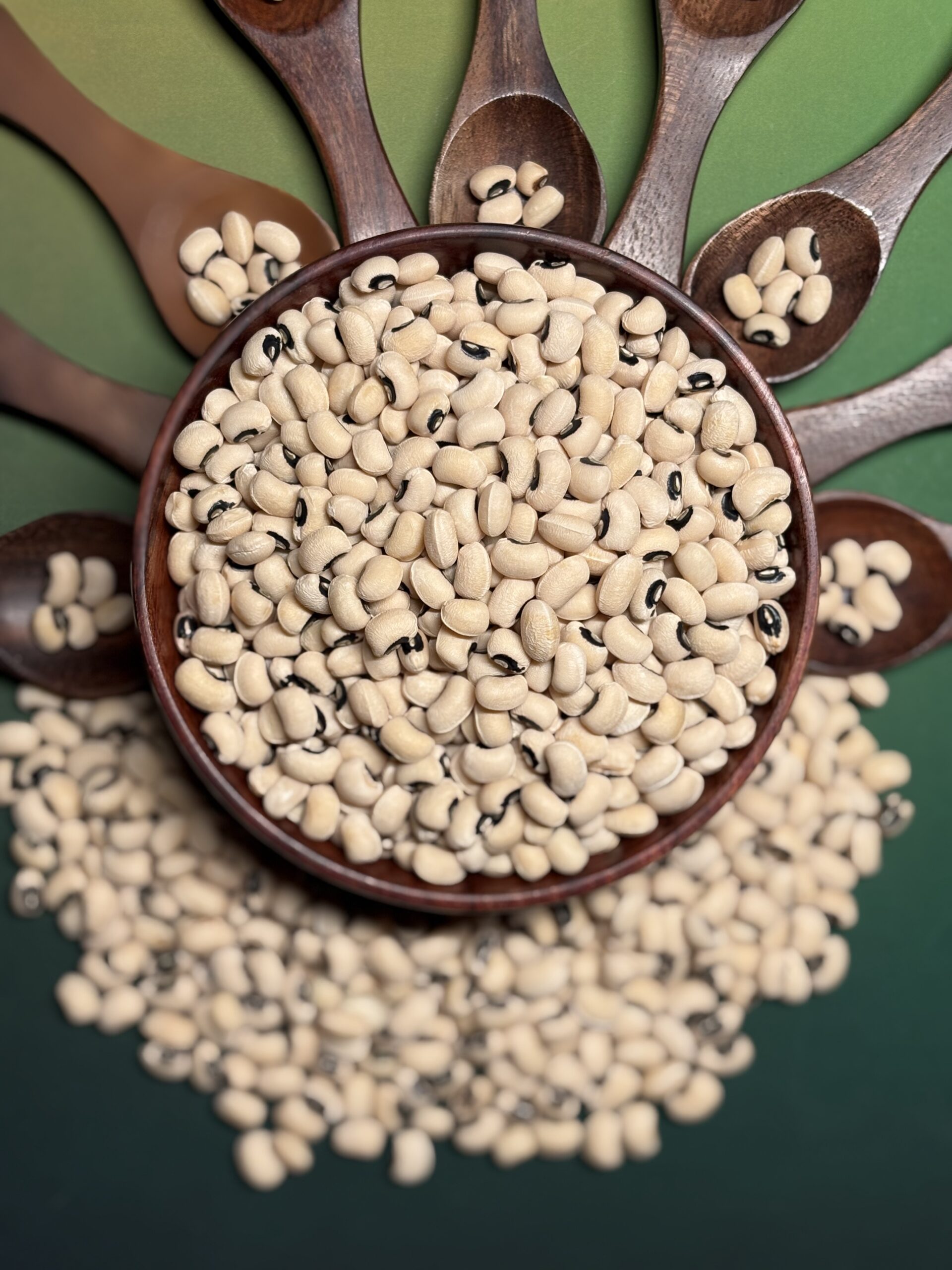 Pinto Bean 2