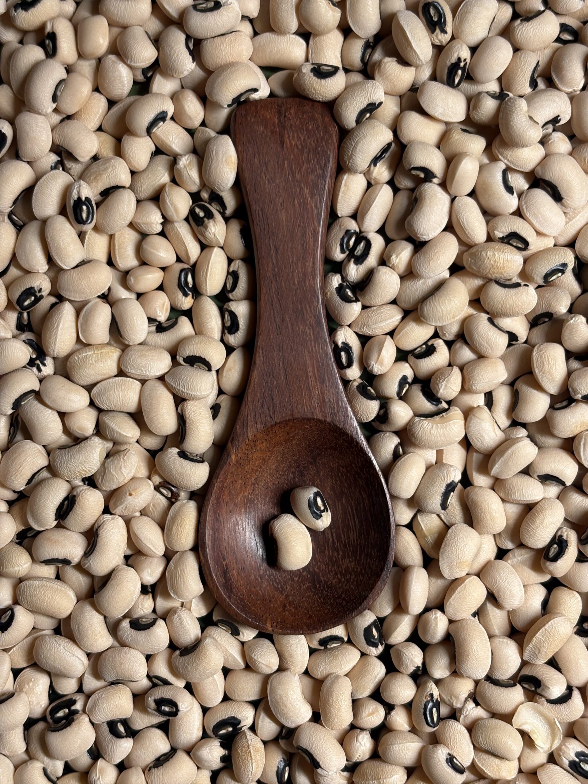 Pinto Bean 3