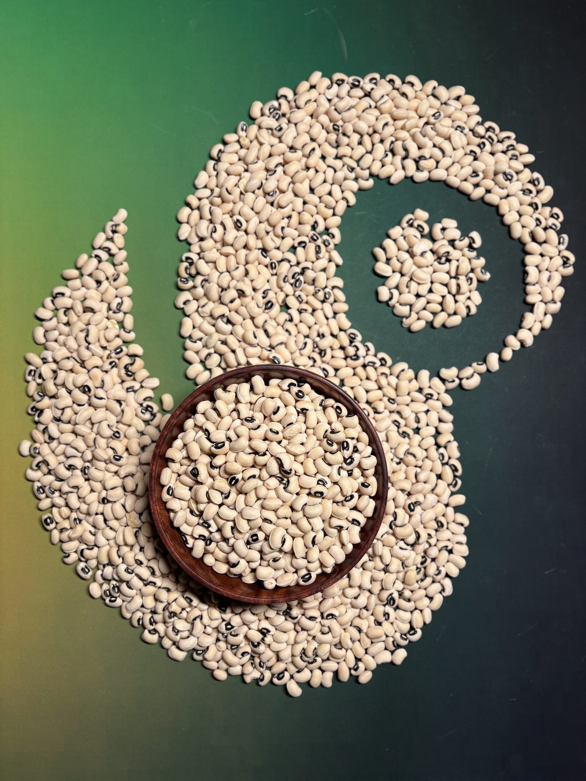 Pinto Bean 4