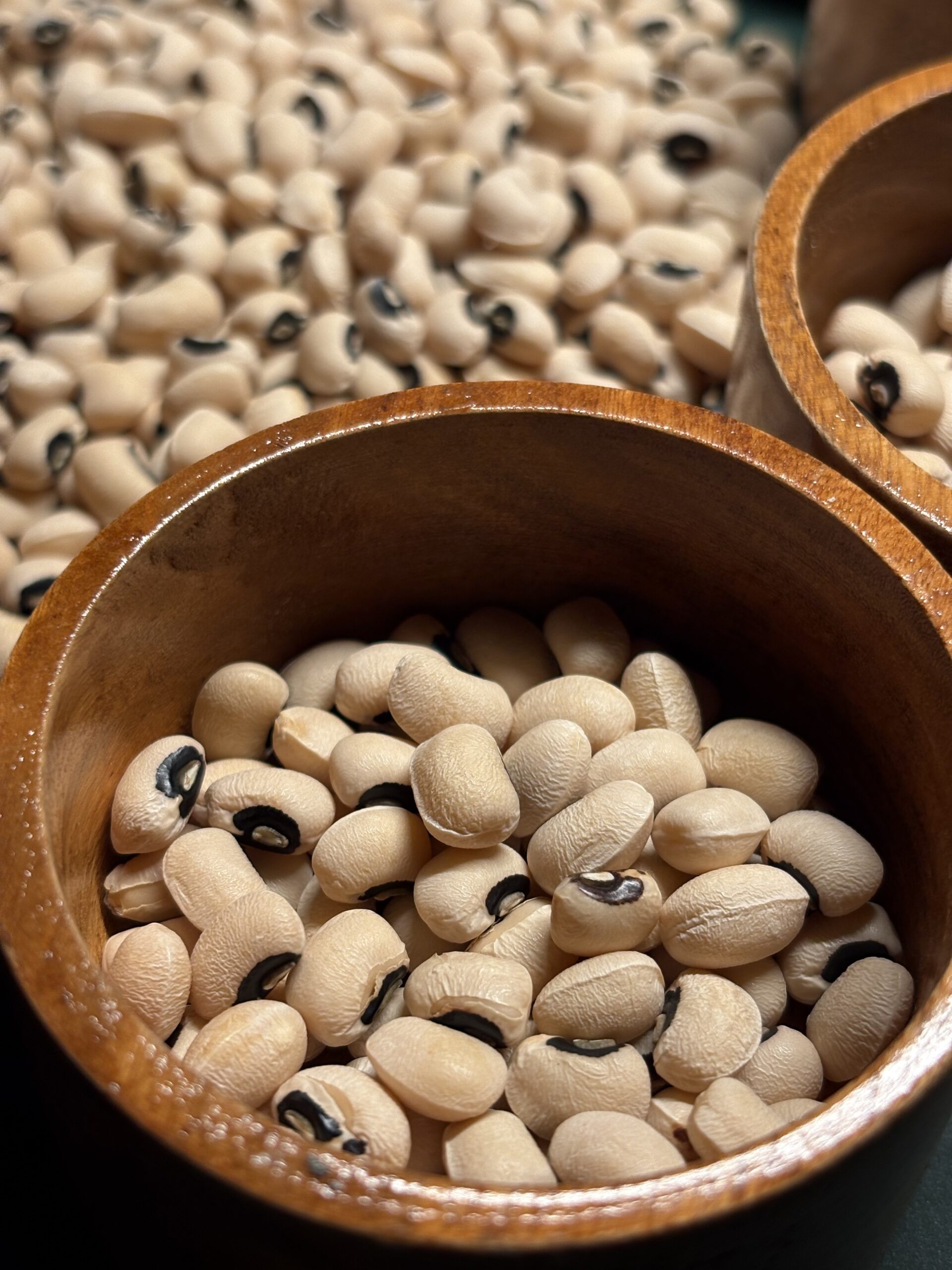 Pinto Bean 8
