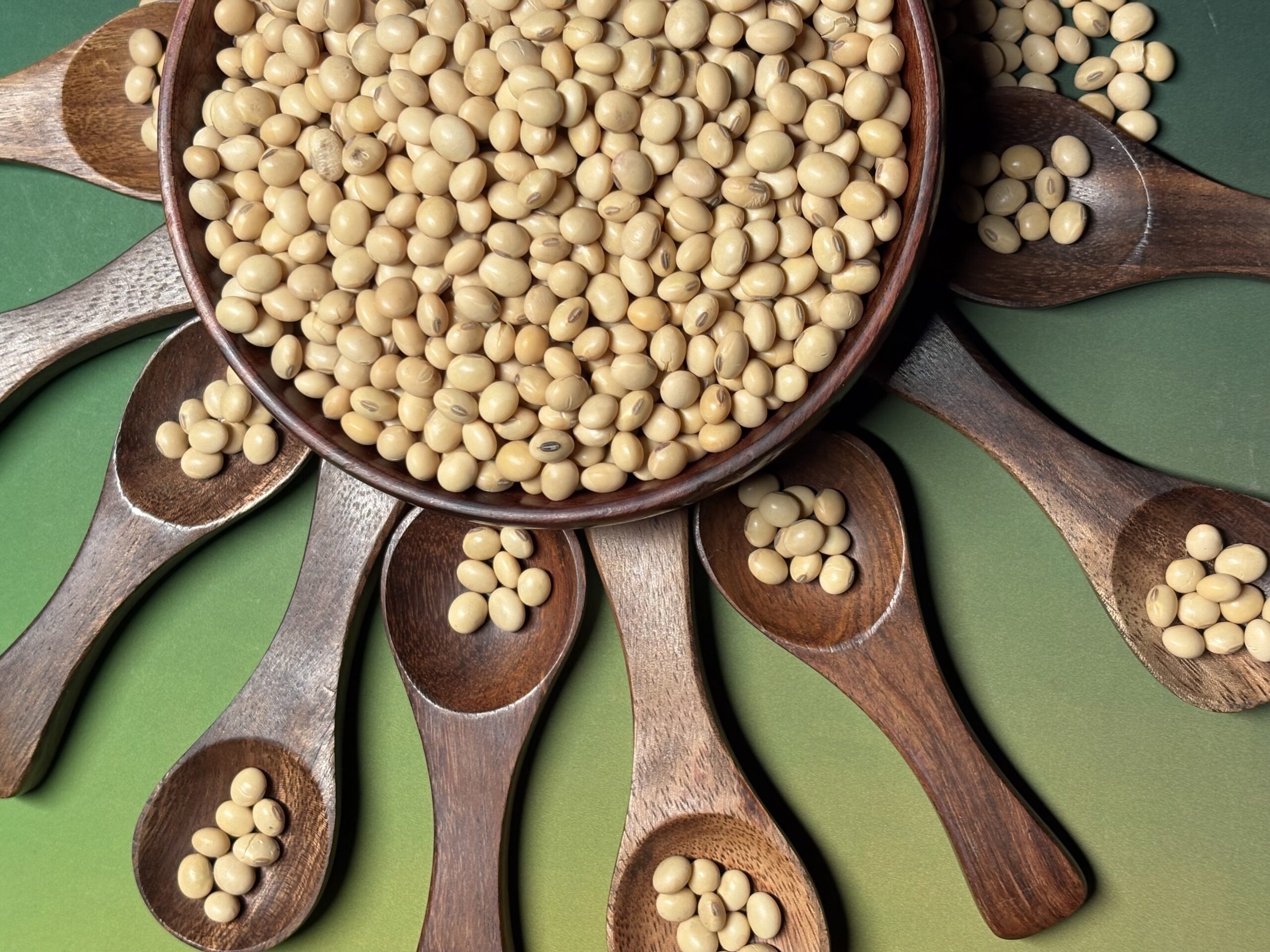 Pinto Bean 8