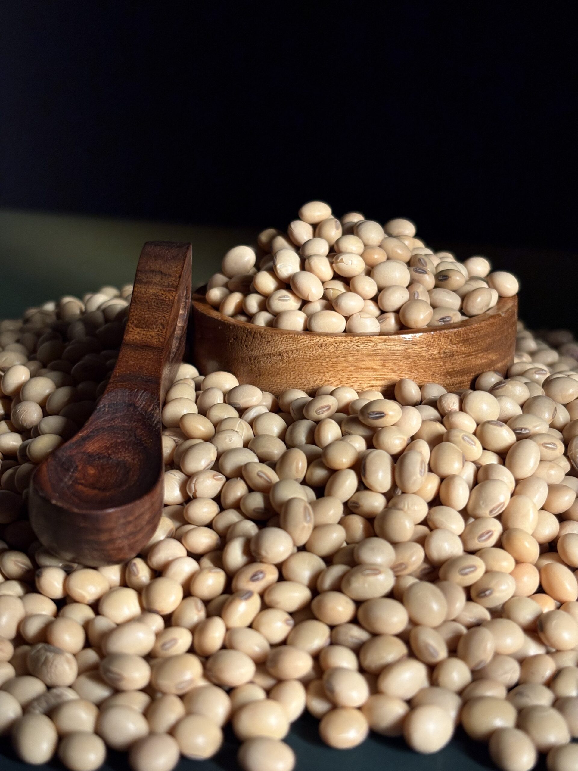 Pinto Bean 6