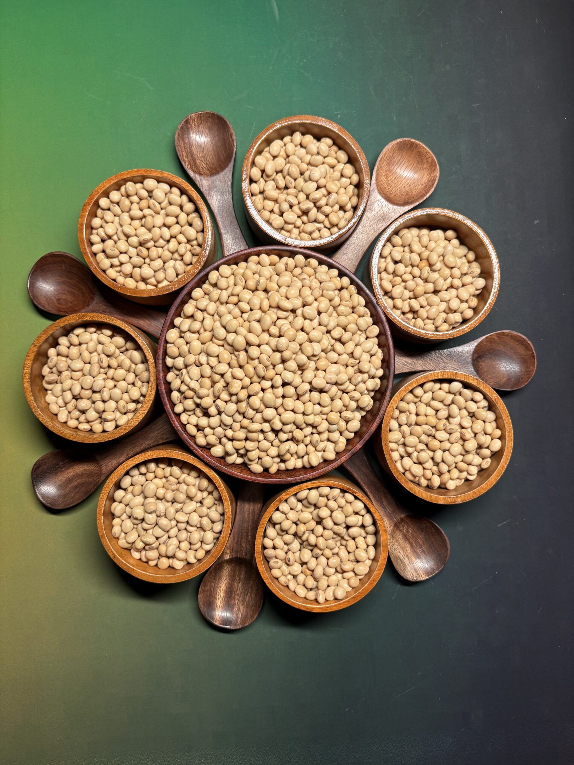Pinto Bean 5