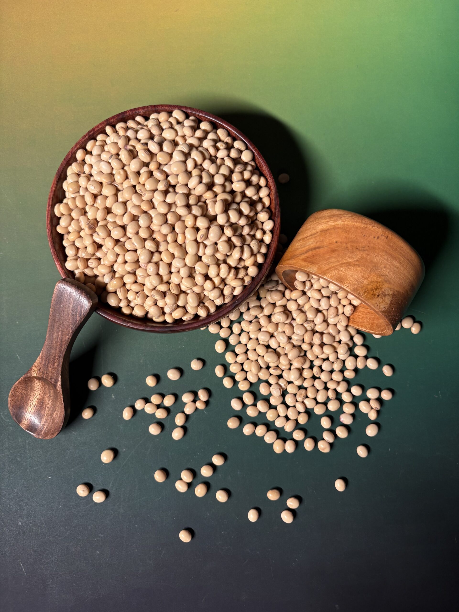 Pinto Bean 1