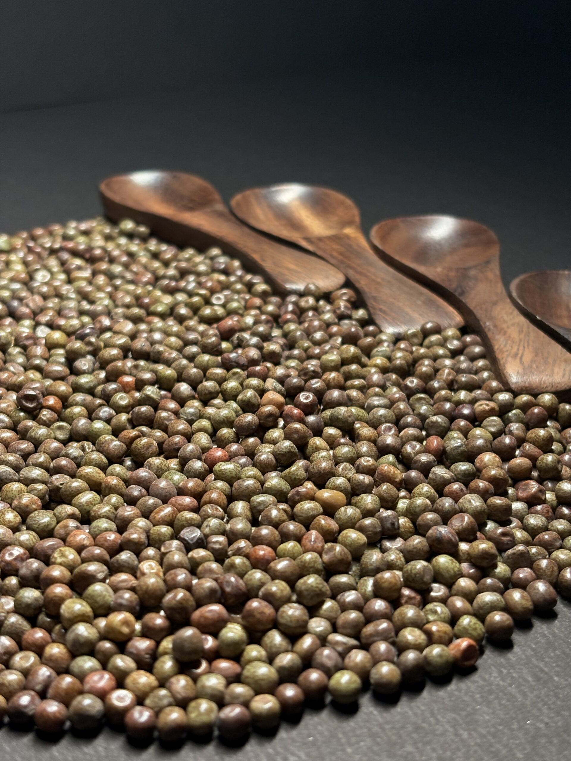 Pinto Bean 4