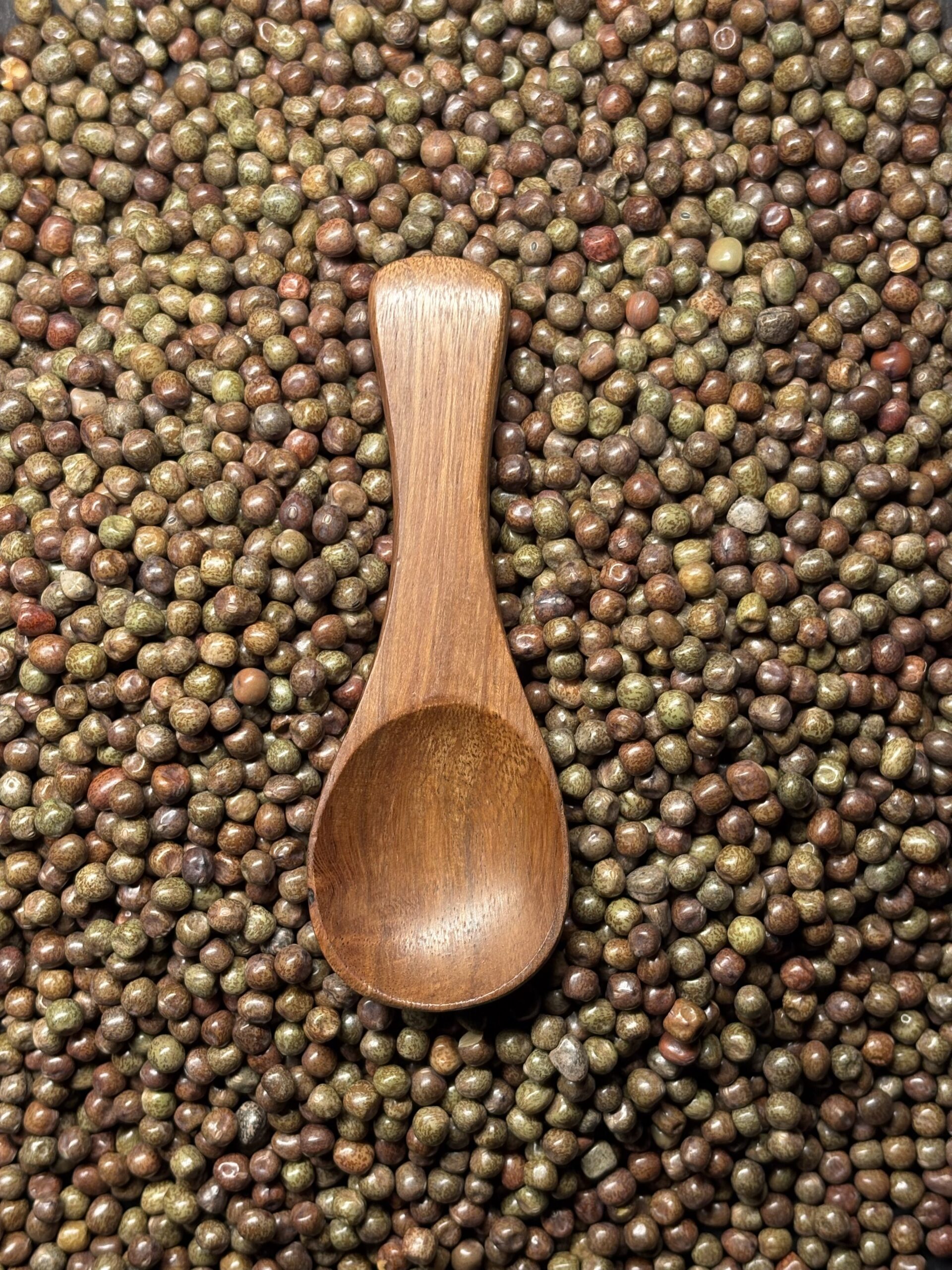 Pinto Bean 5