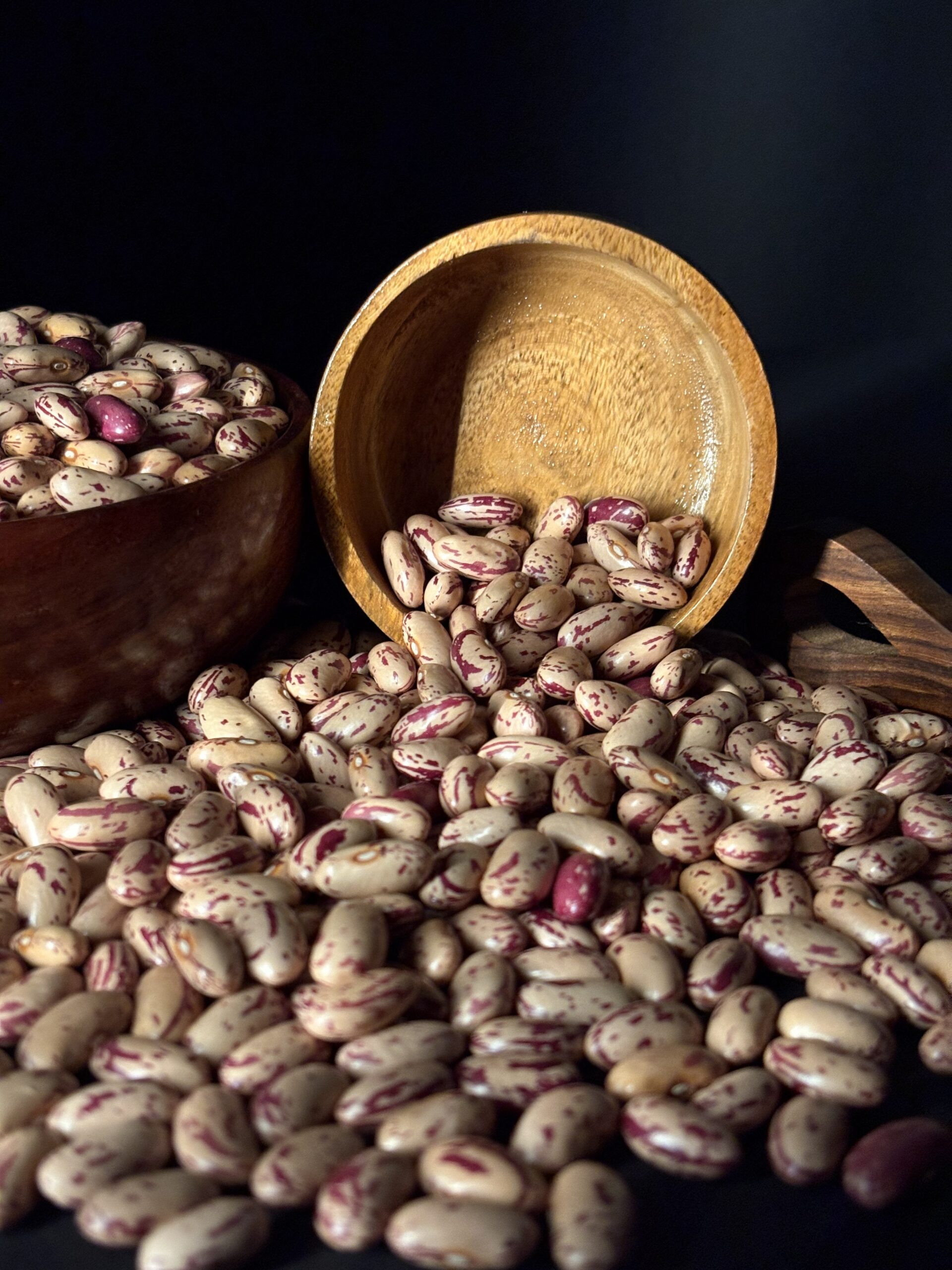 Pinto Bean 9