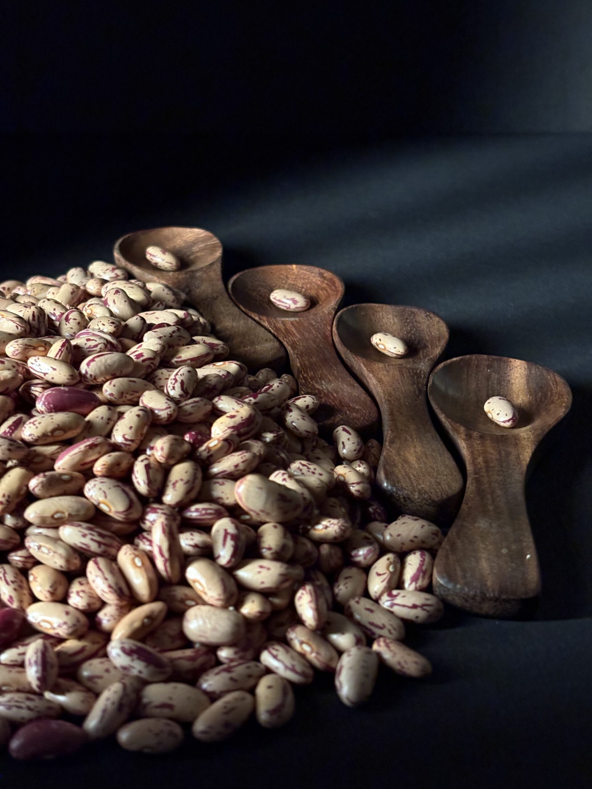 Pinto Bean 1
