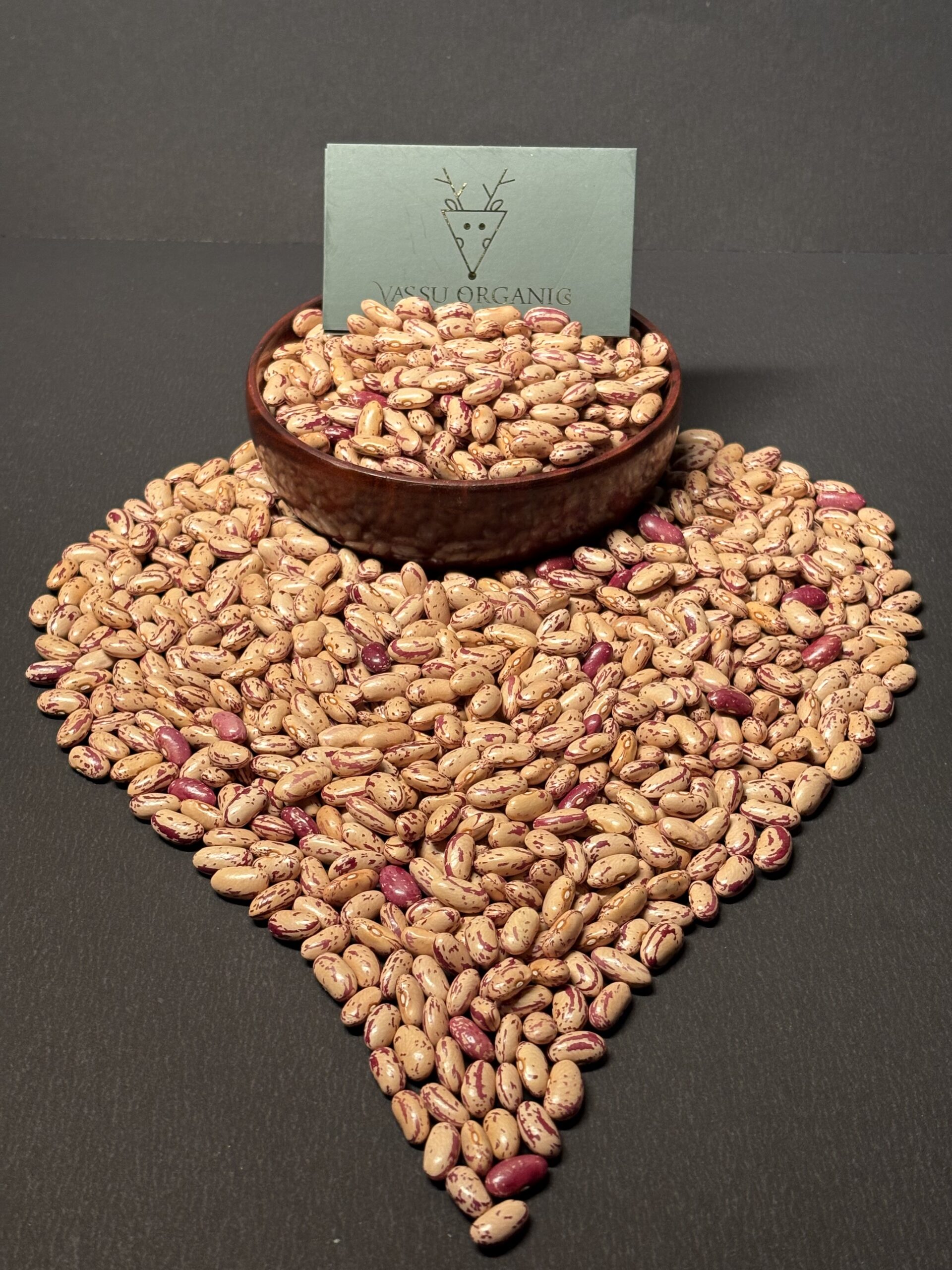 Pinto Bean 4