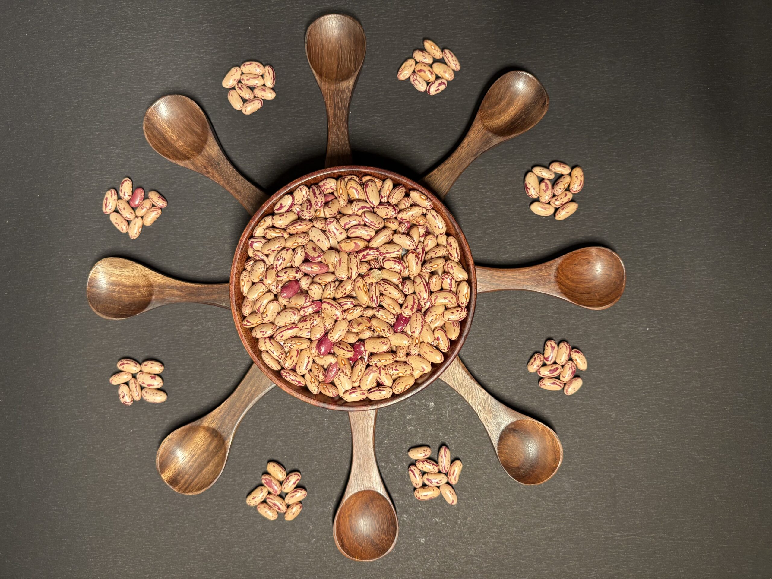Pinto Bean 6