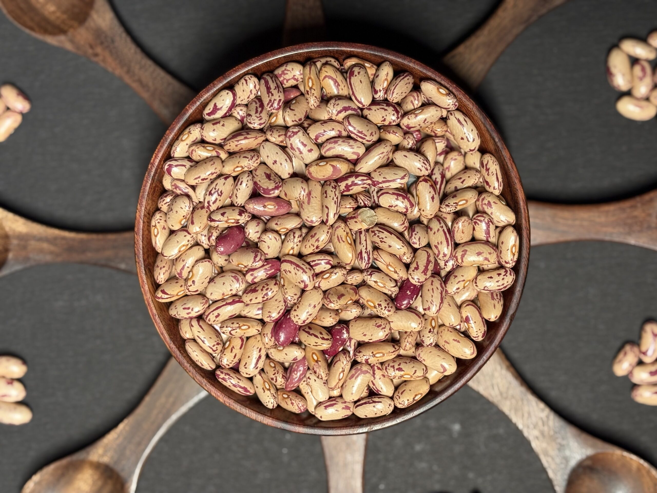 Pinto Bean 7