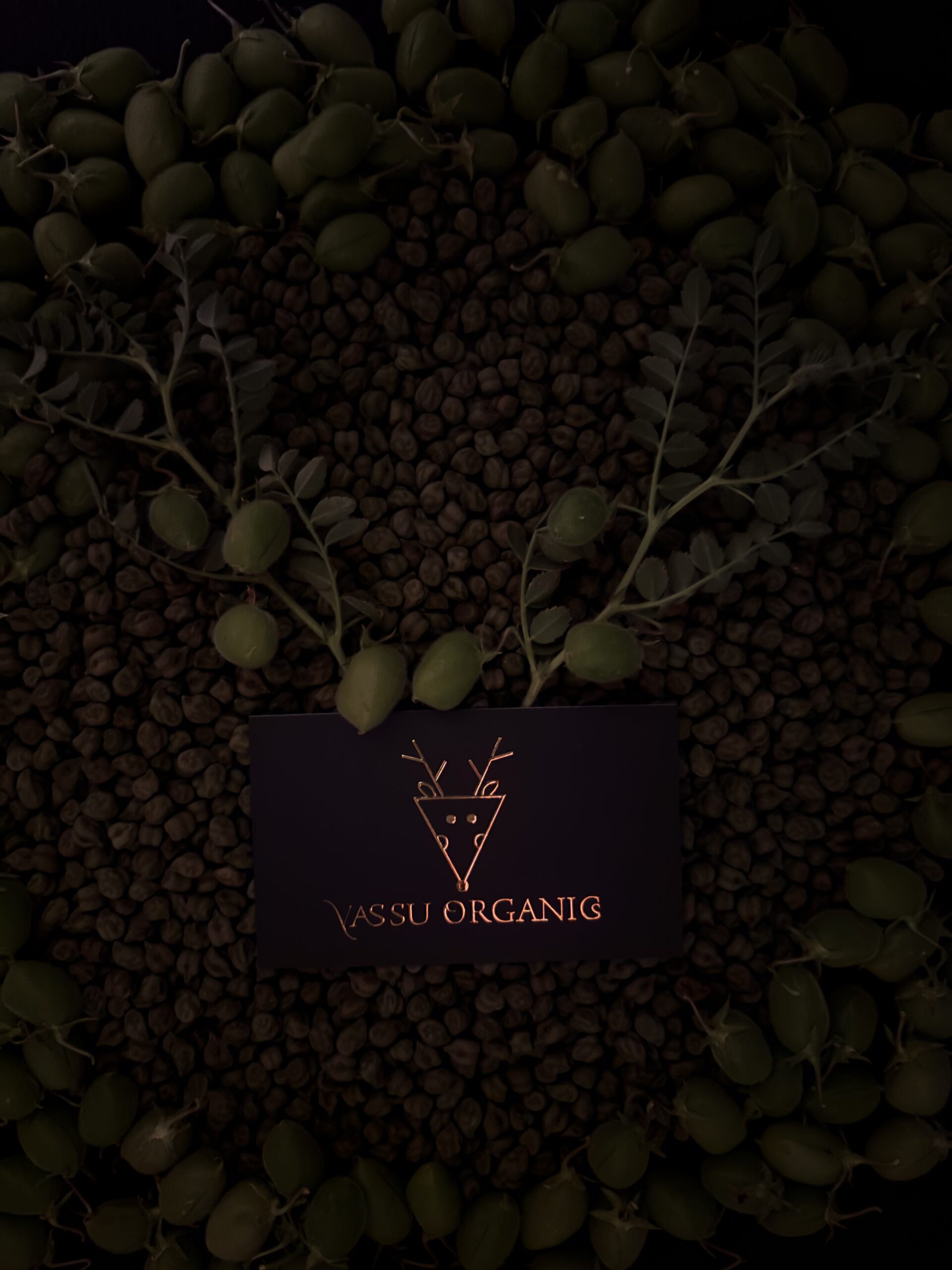 Green Chickpeas - Product Image 1