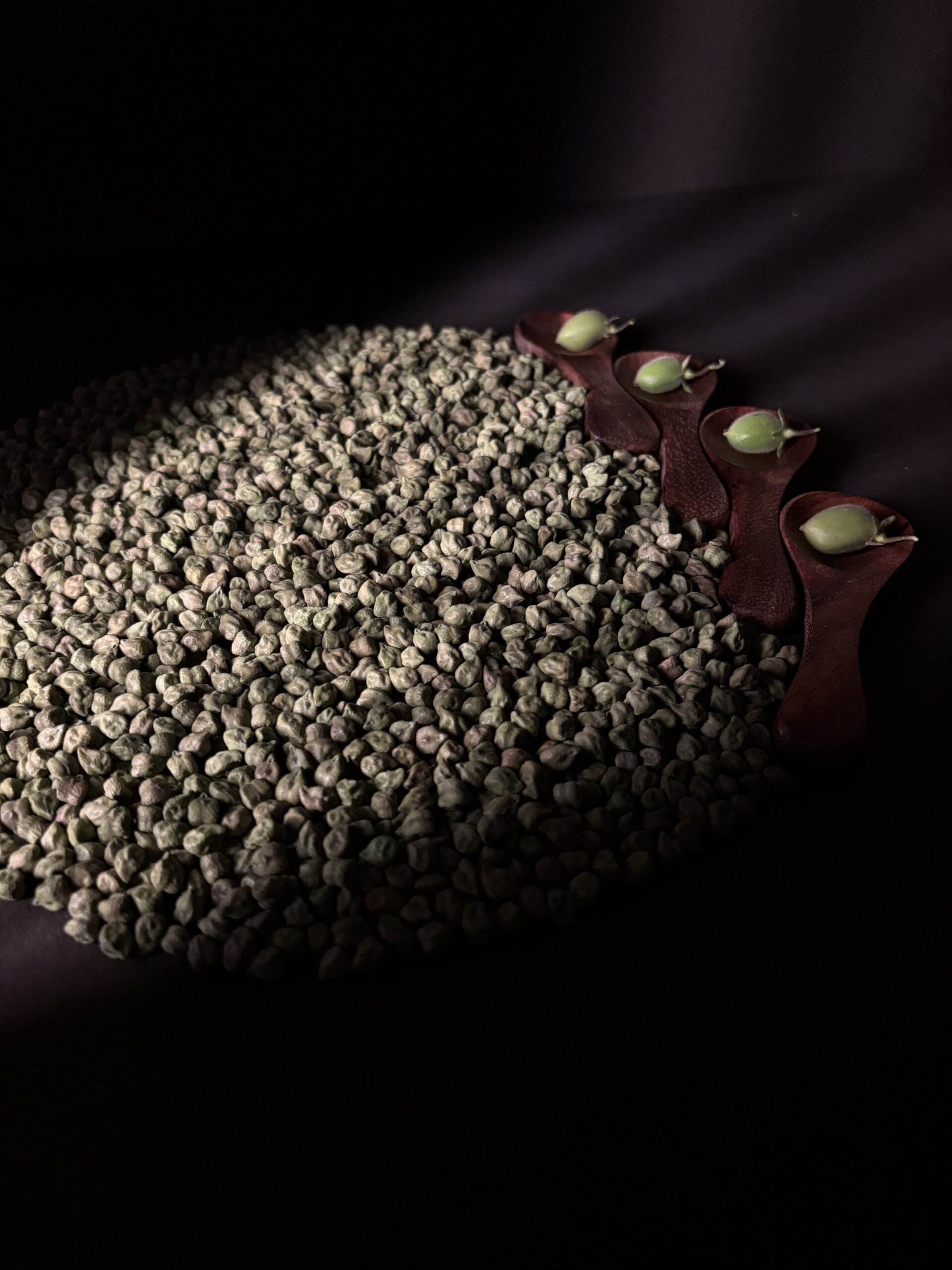 Green Chickpeas - Product Image 5