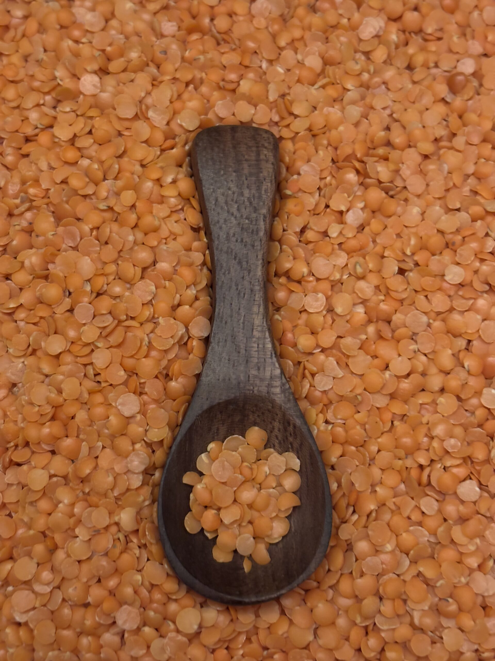 Split Red Lentil 3