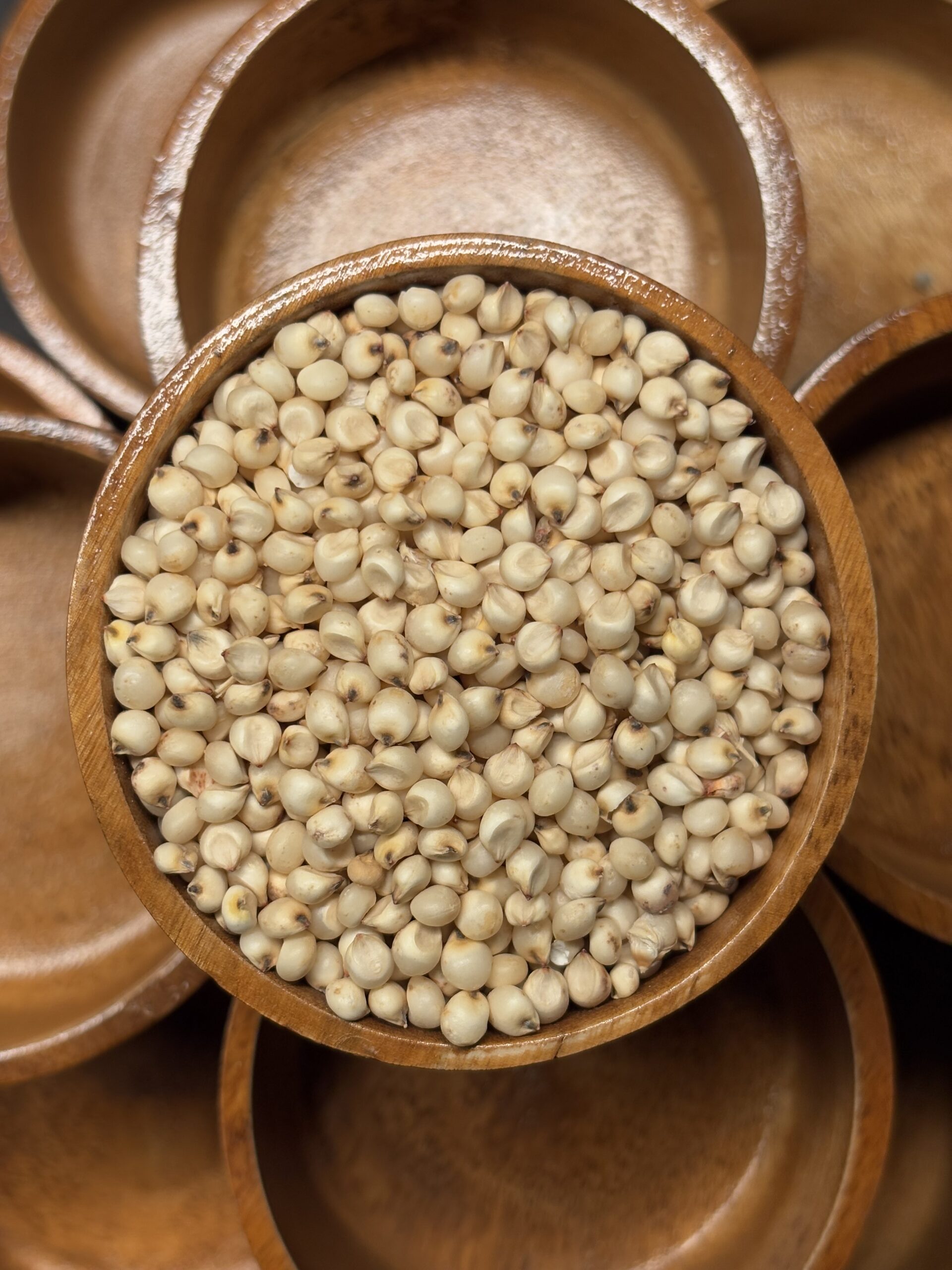 Sorghum Millet 3