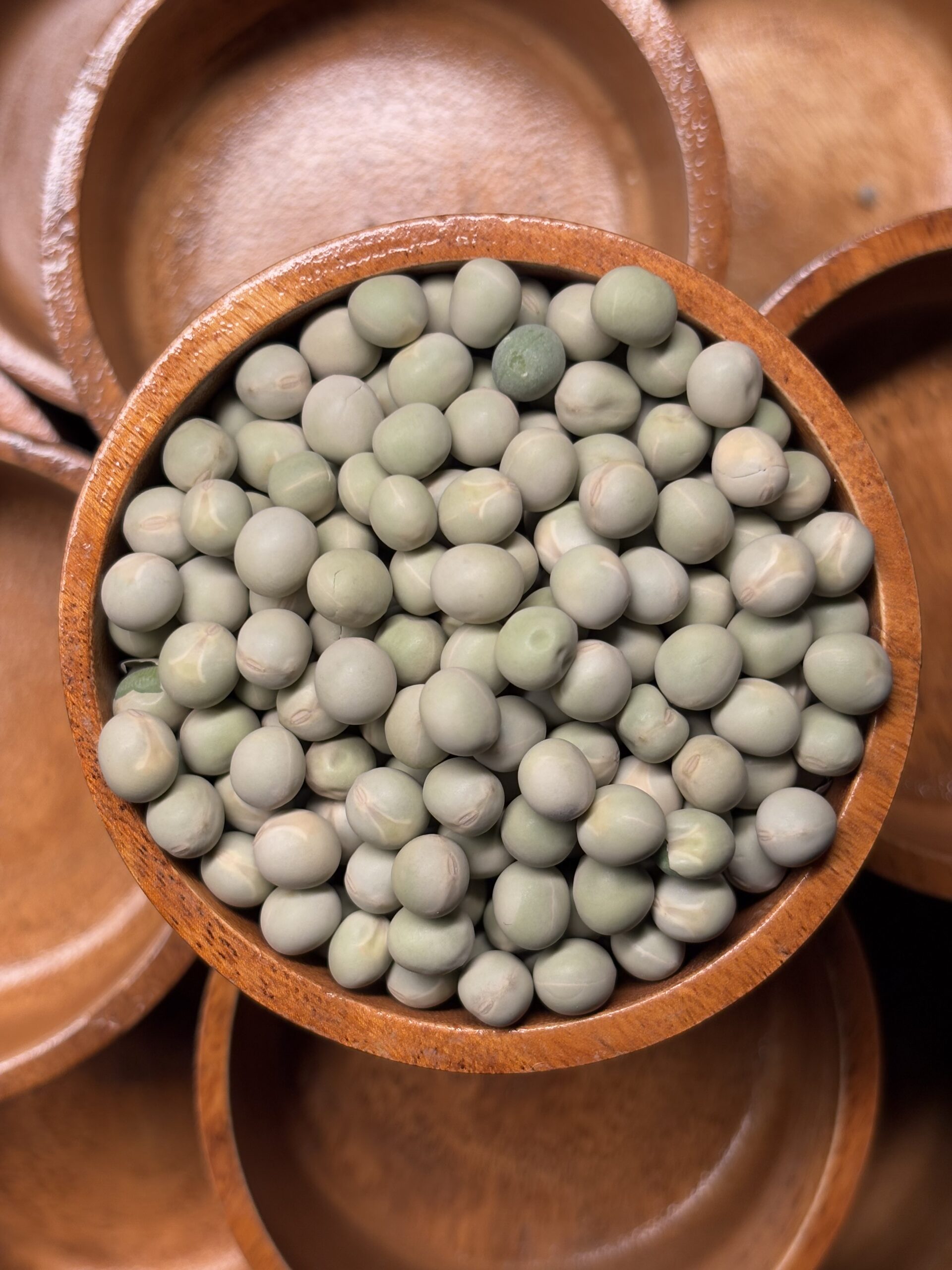 Pinto Bean 5