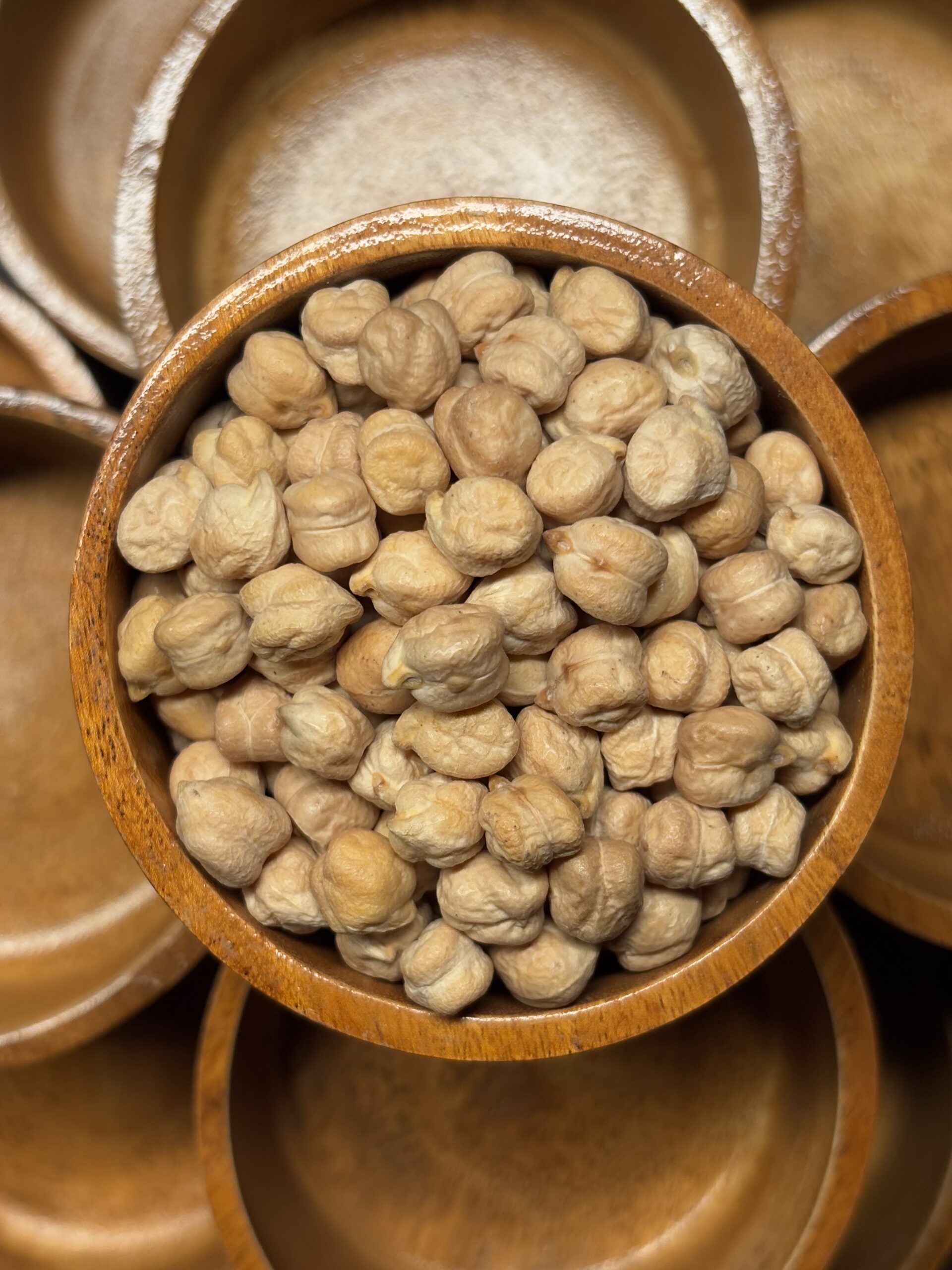 Pinto Bean 3