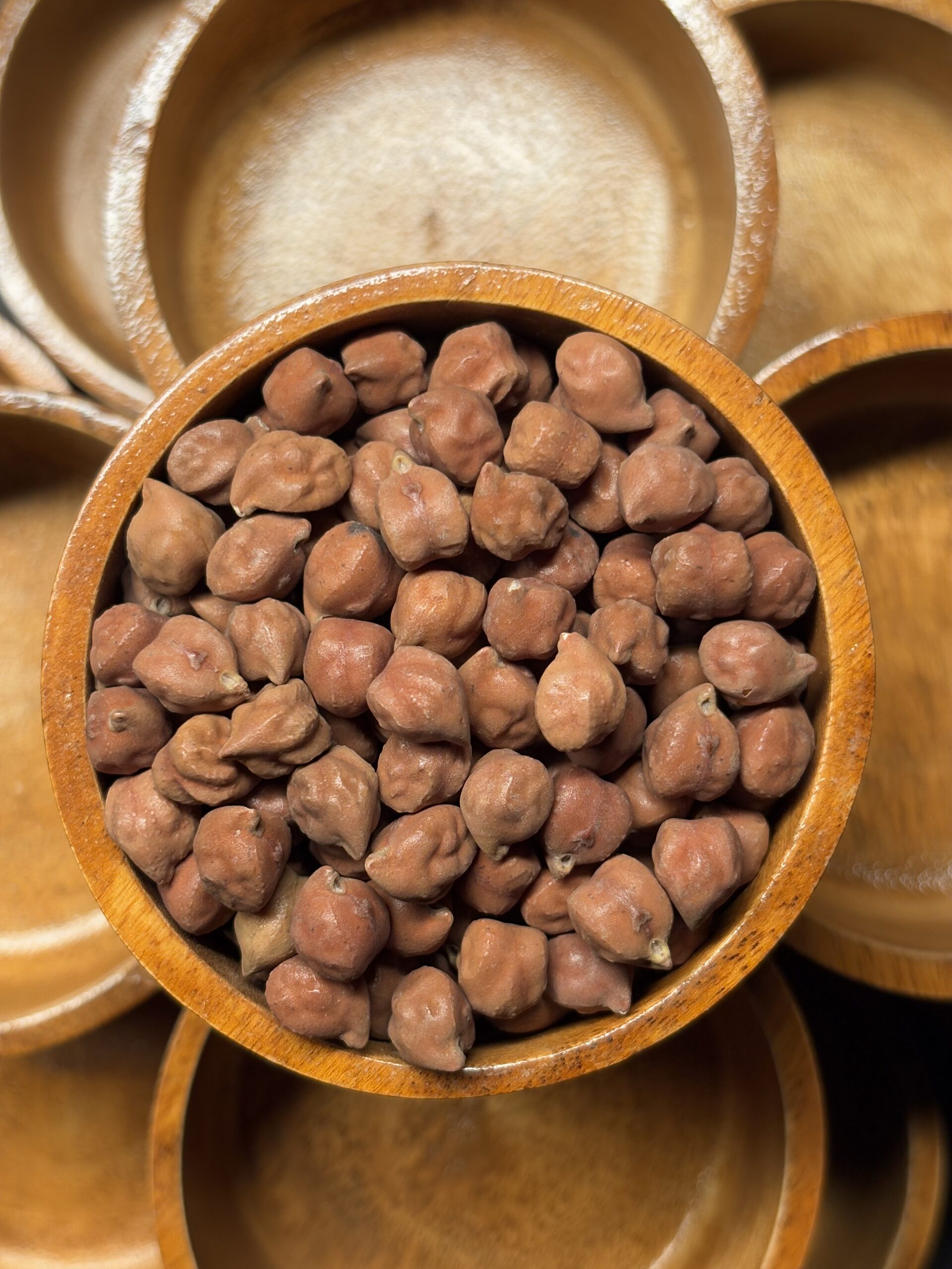 Pinto Bean 5
