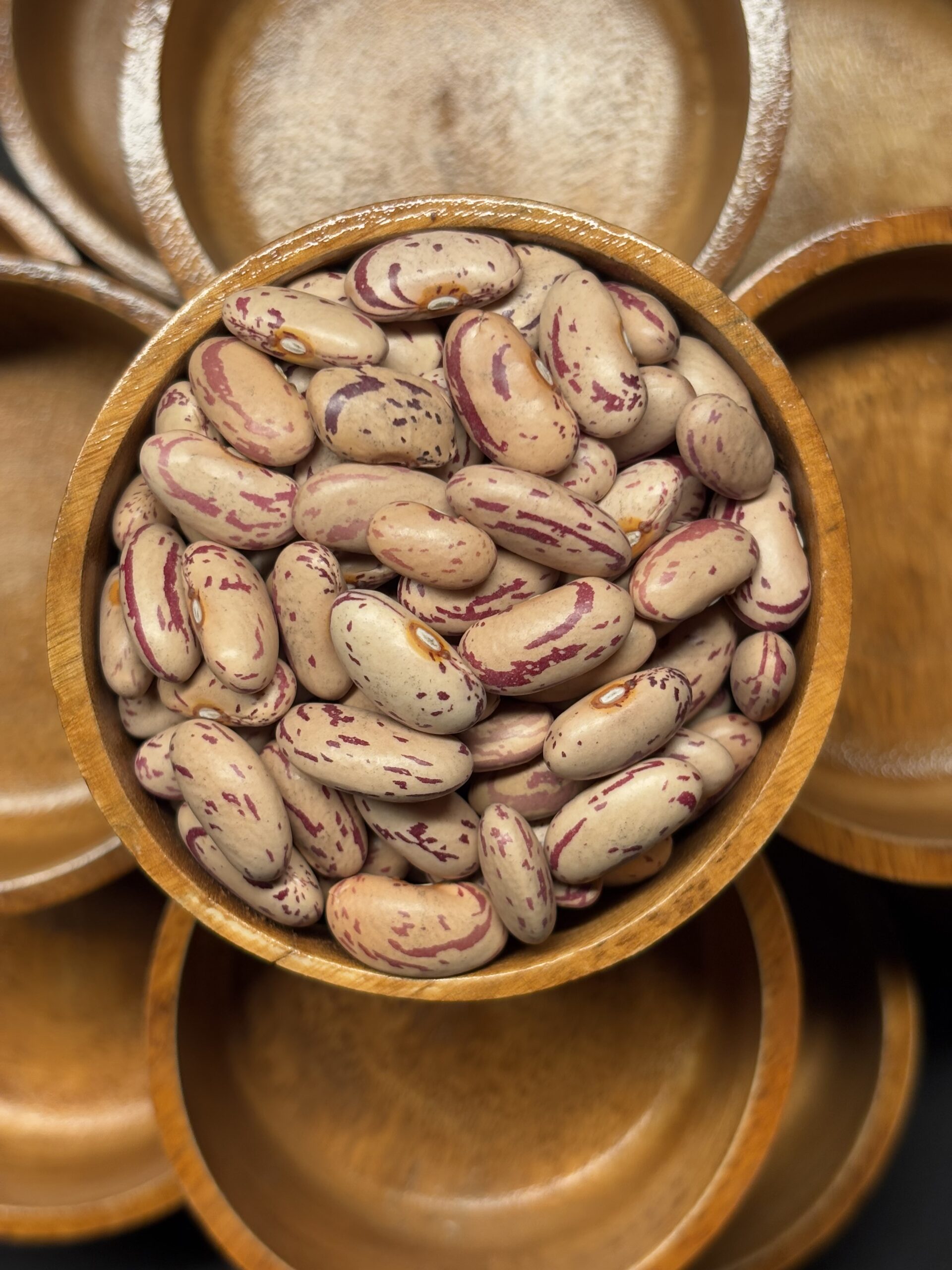 Cranberry Bean 3