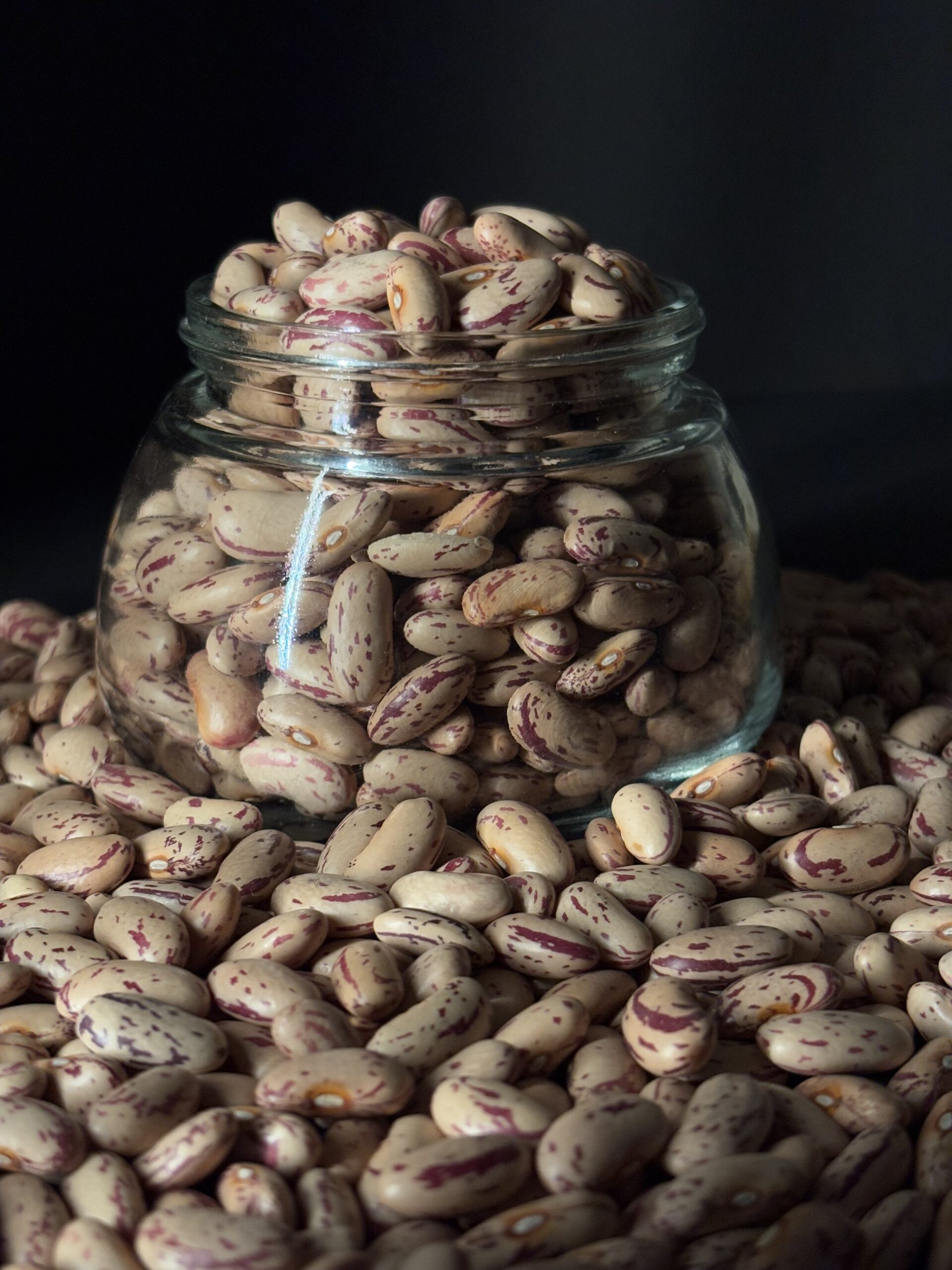 Cranberry Bean 3