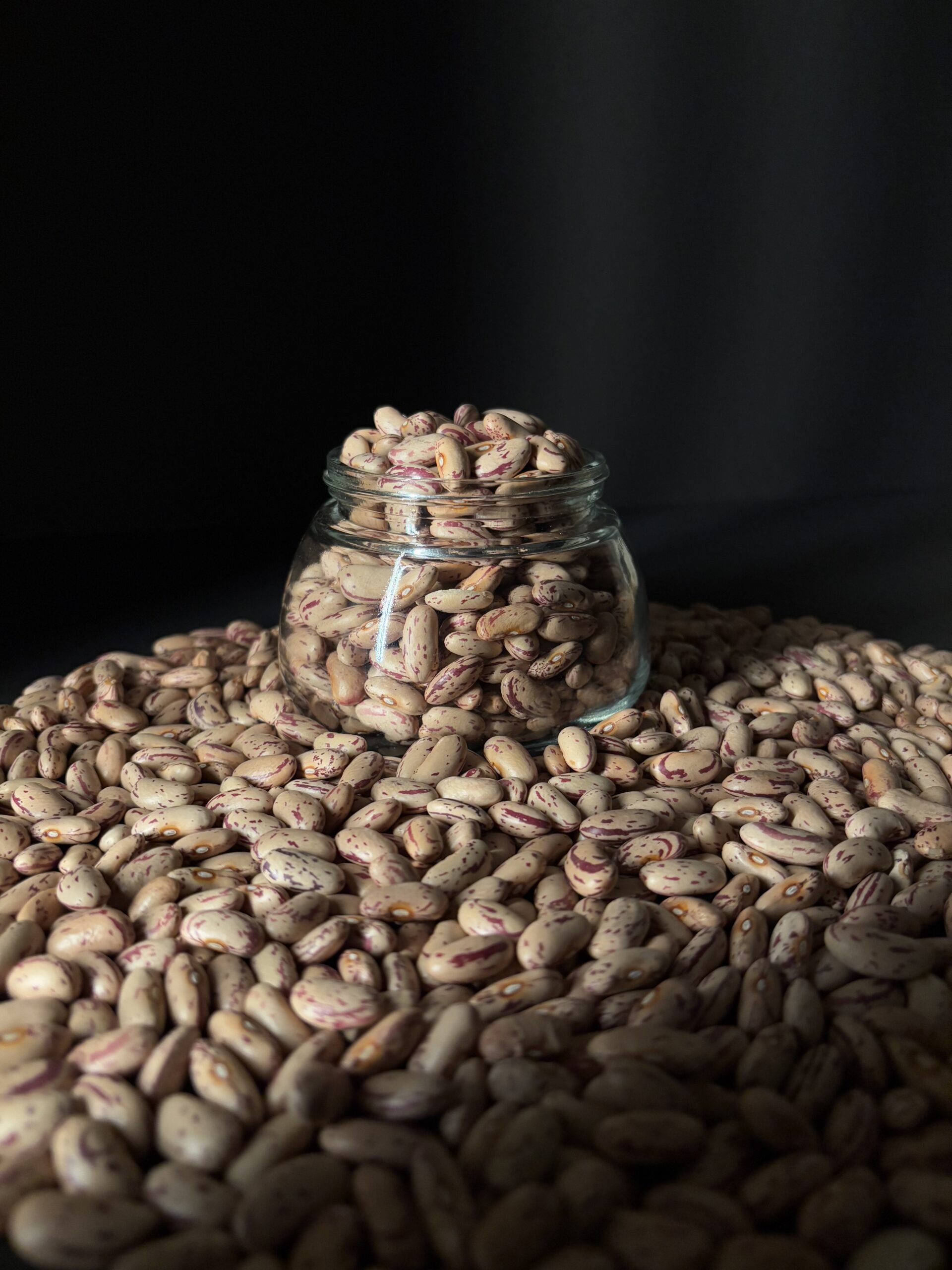 Cranberry Bean 3