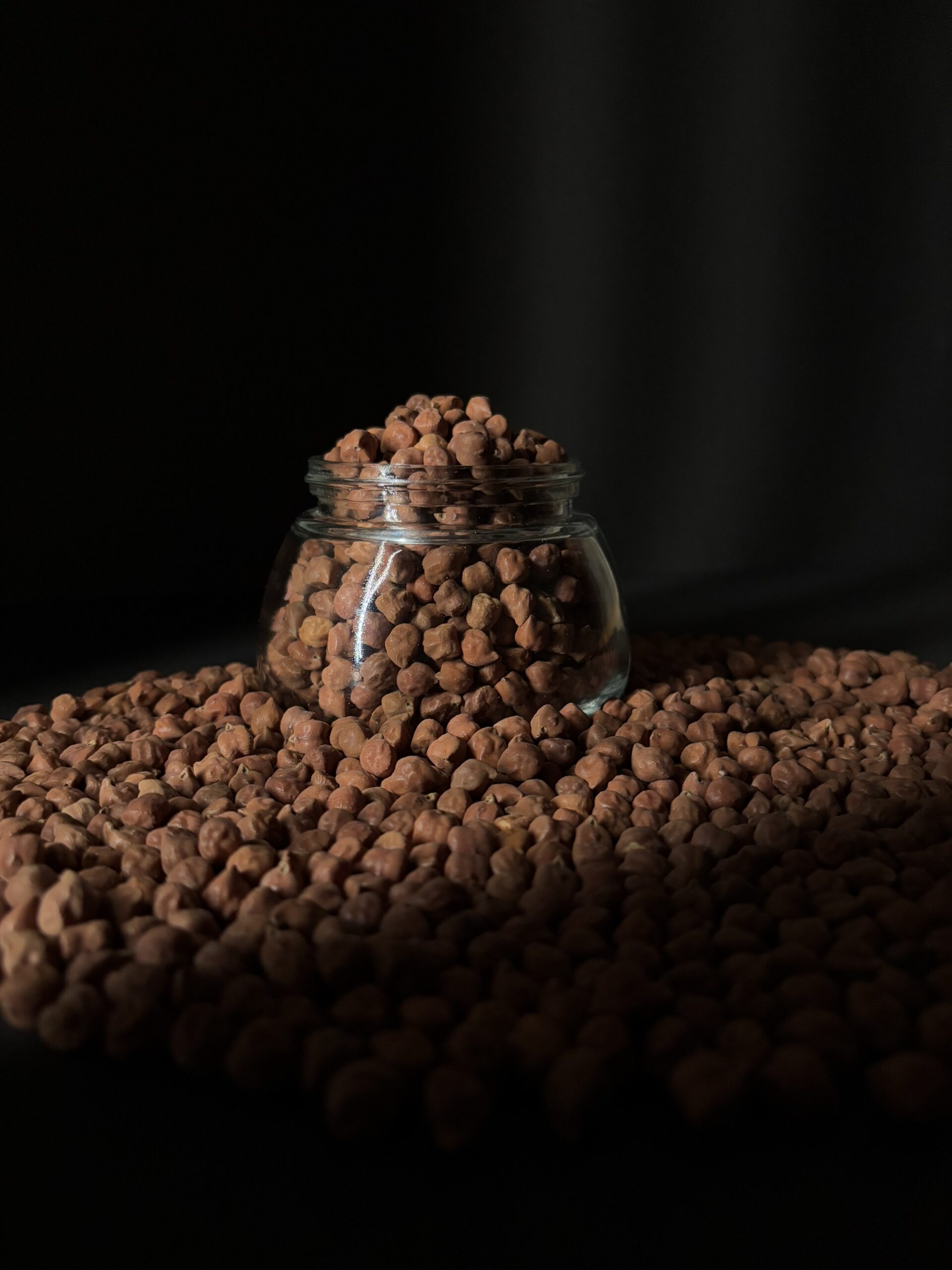 Pinto Bean 3
