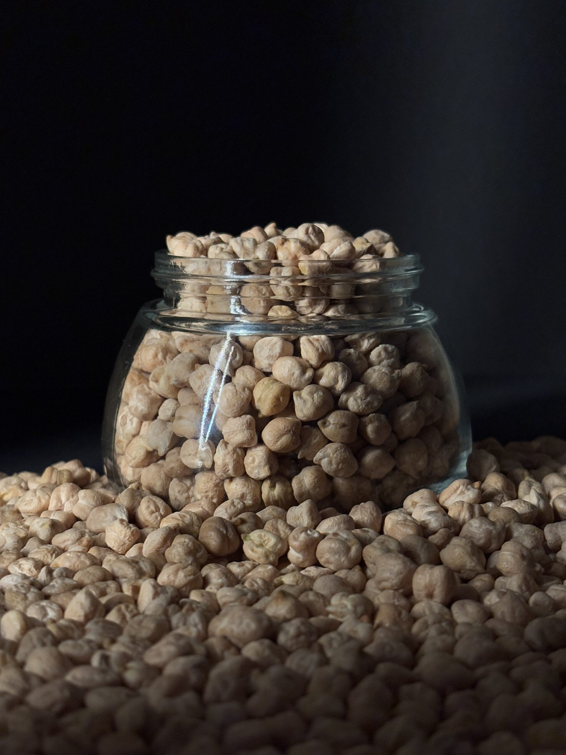 Pinto Bean 5