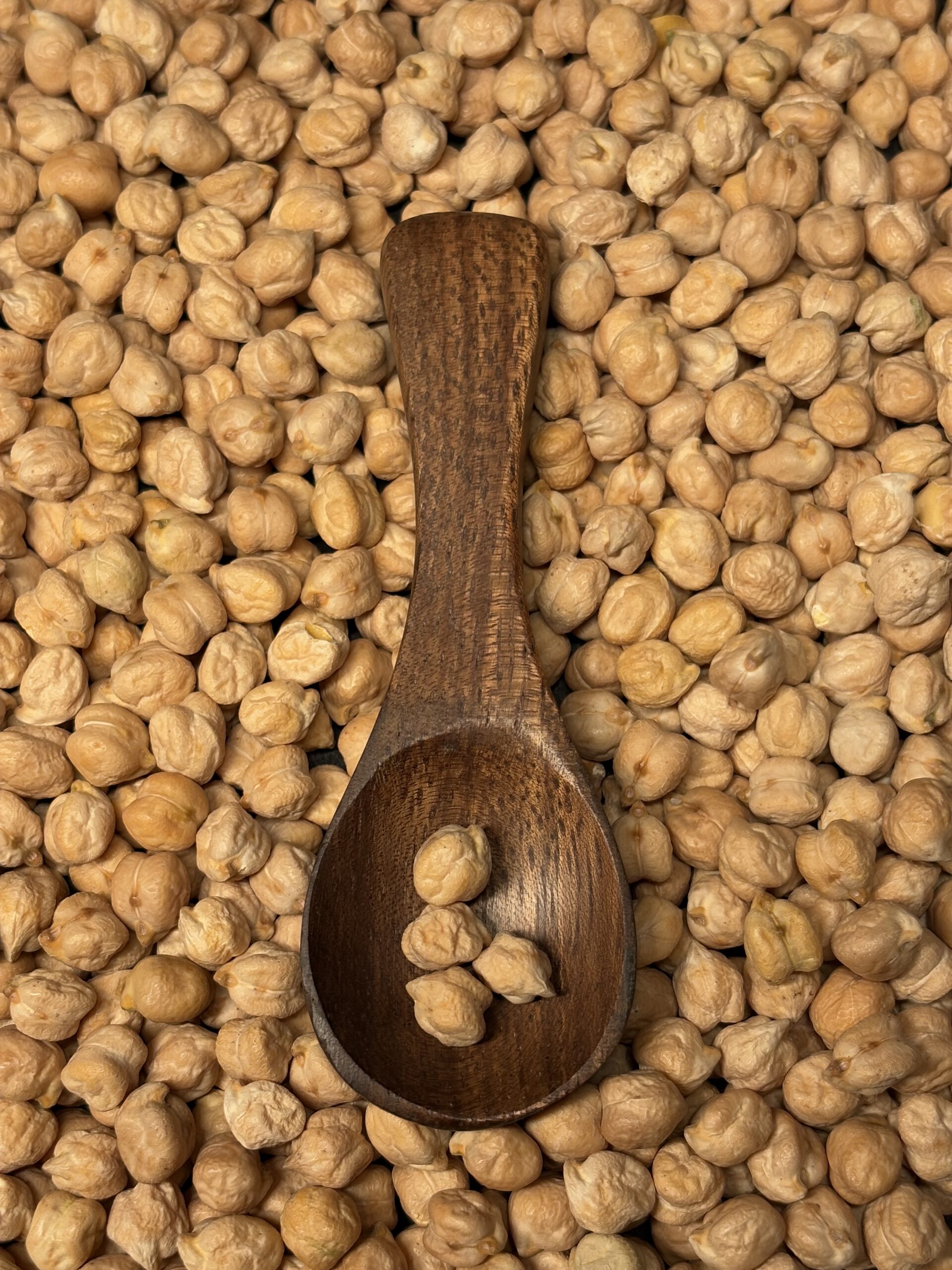 Pinto Bean 2