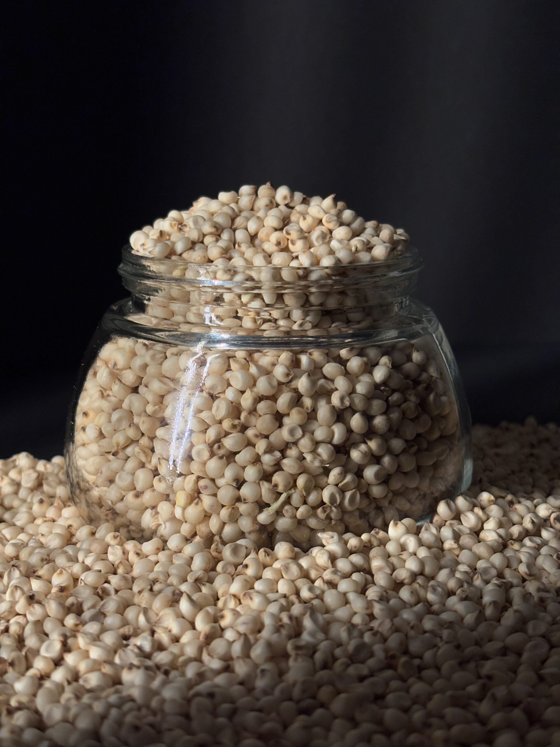 Sorghum Millet 3