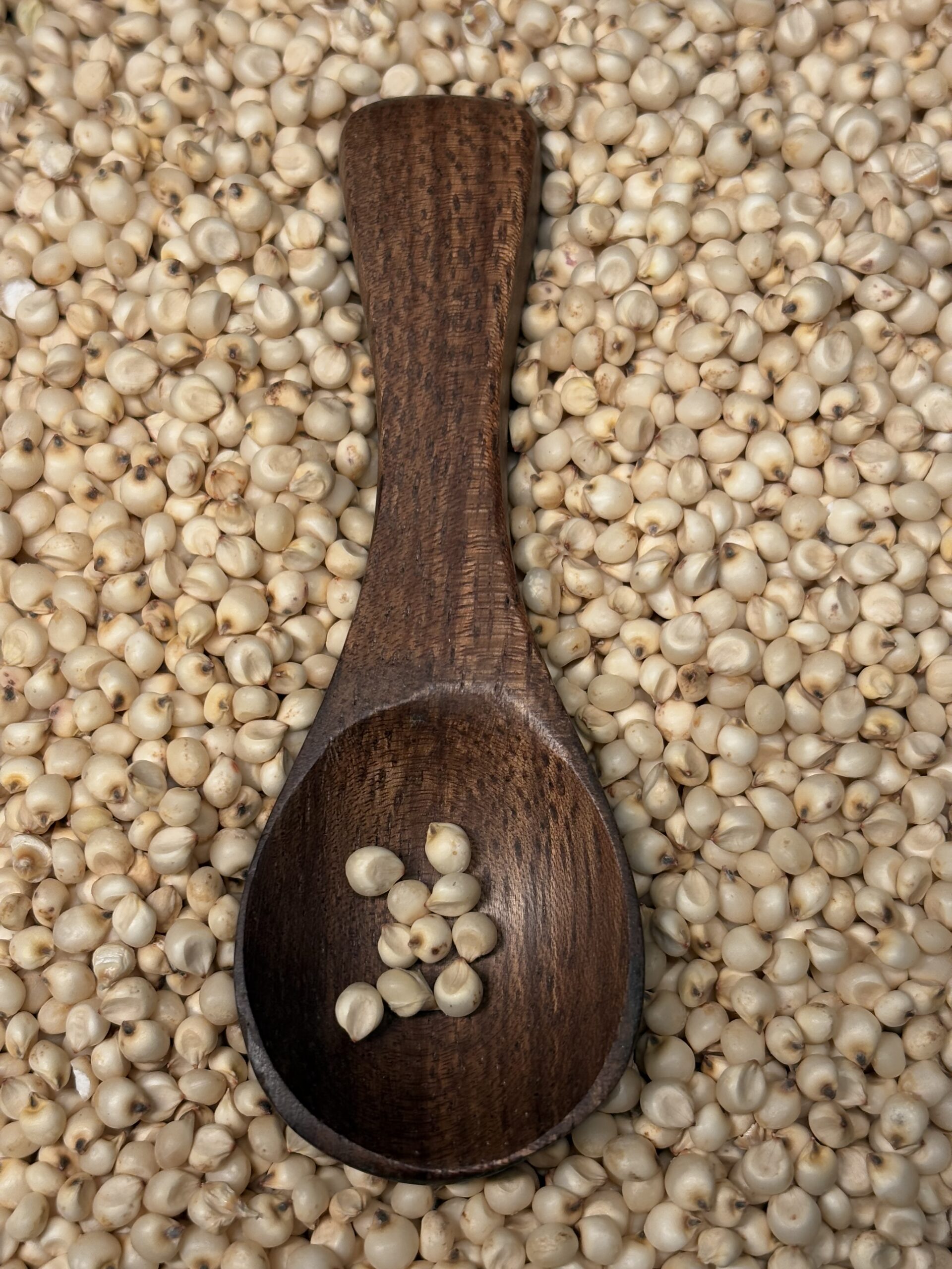 Sorghum Millet 3