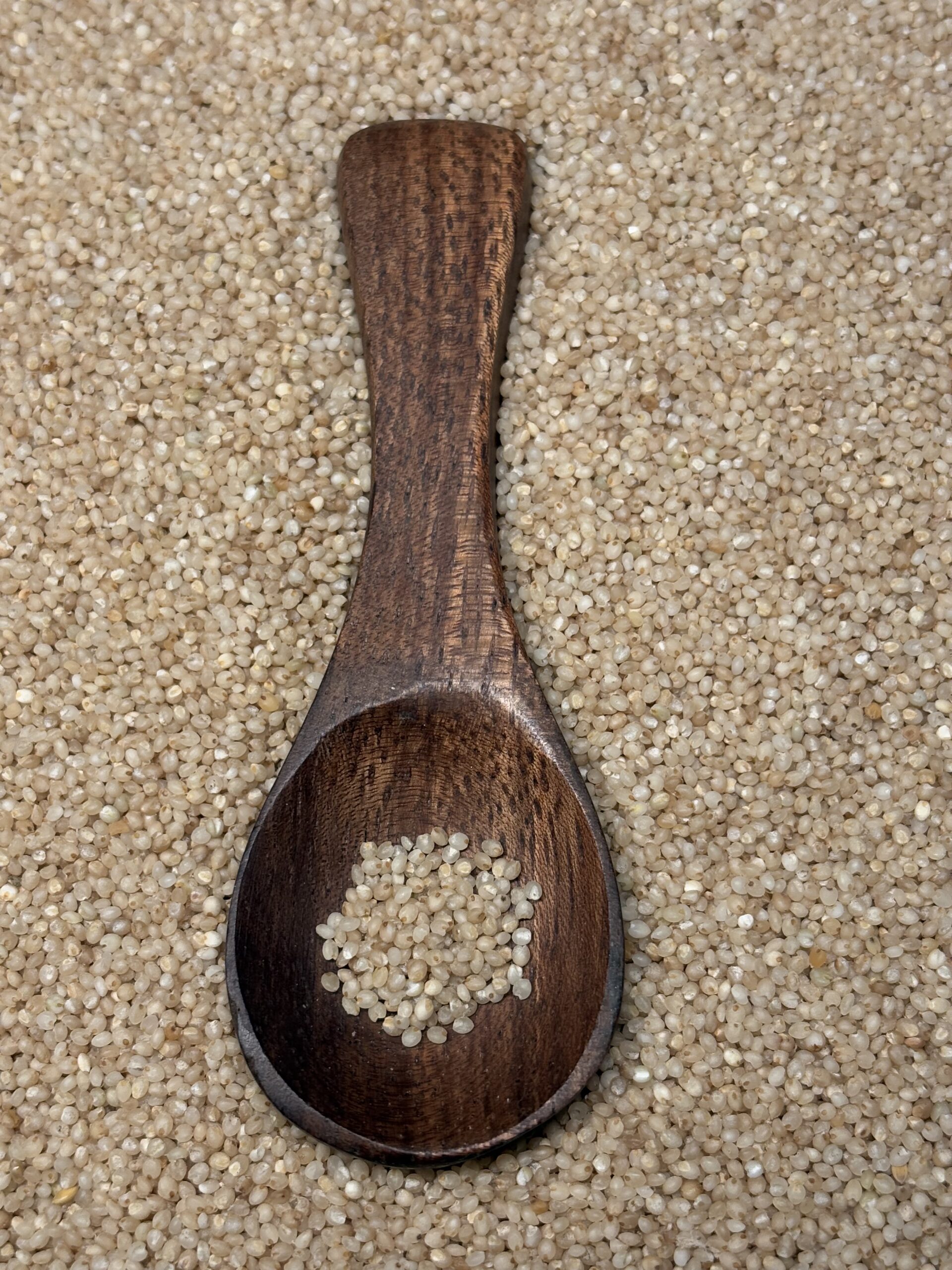 Barnyard Millet 3