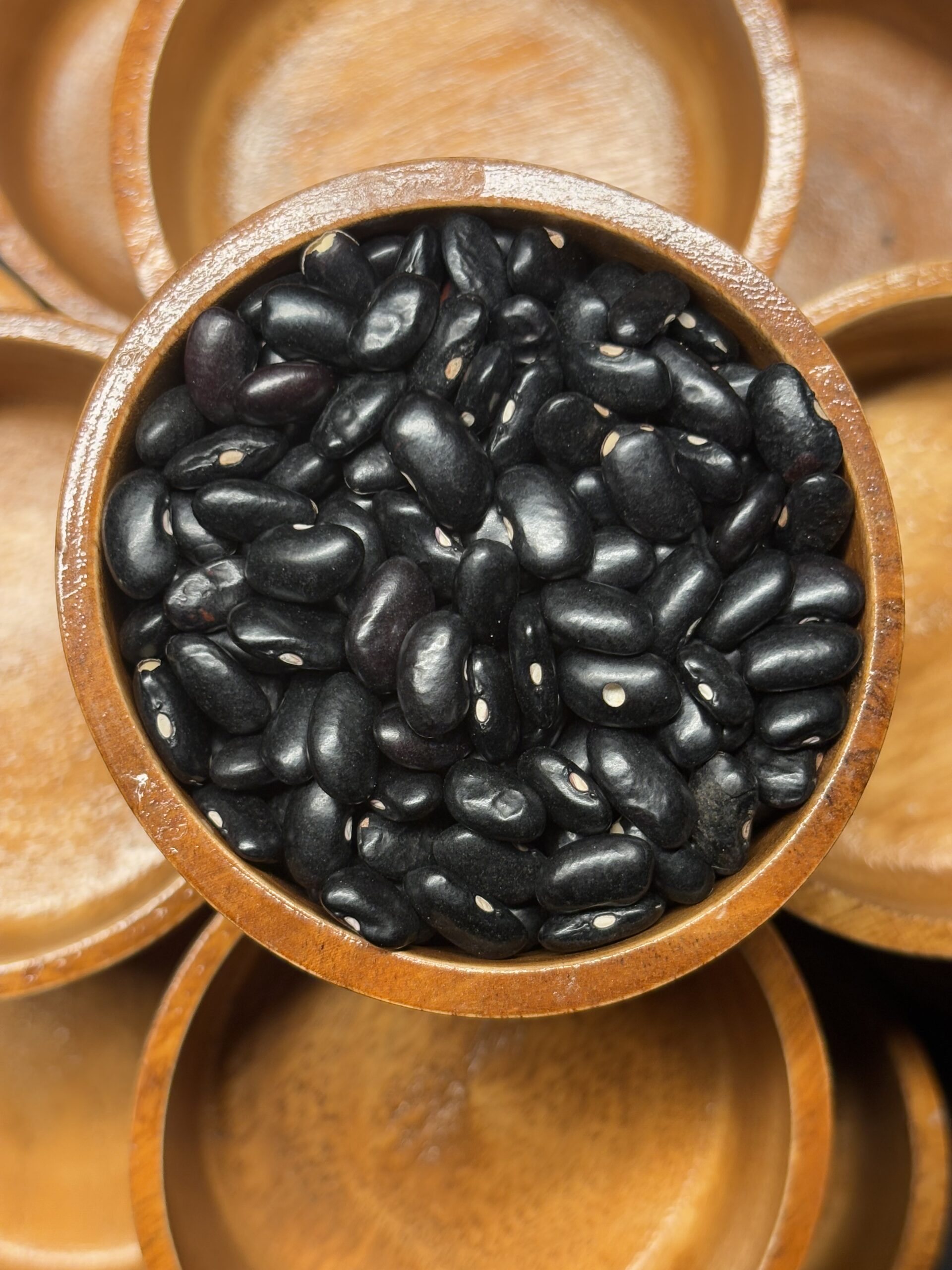 Black Bean 3