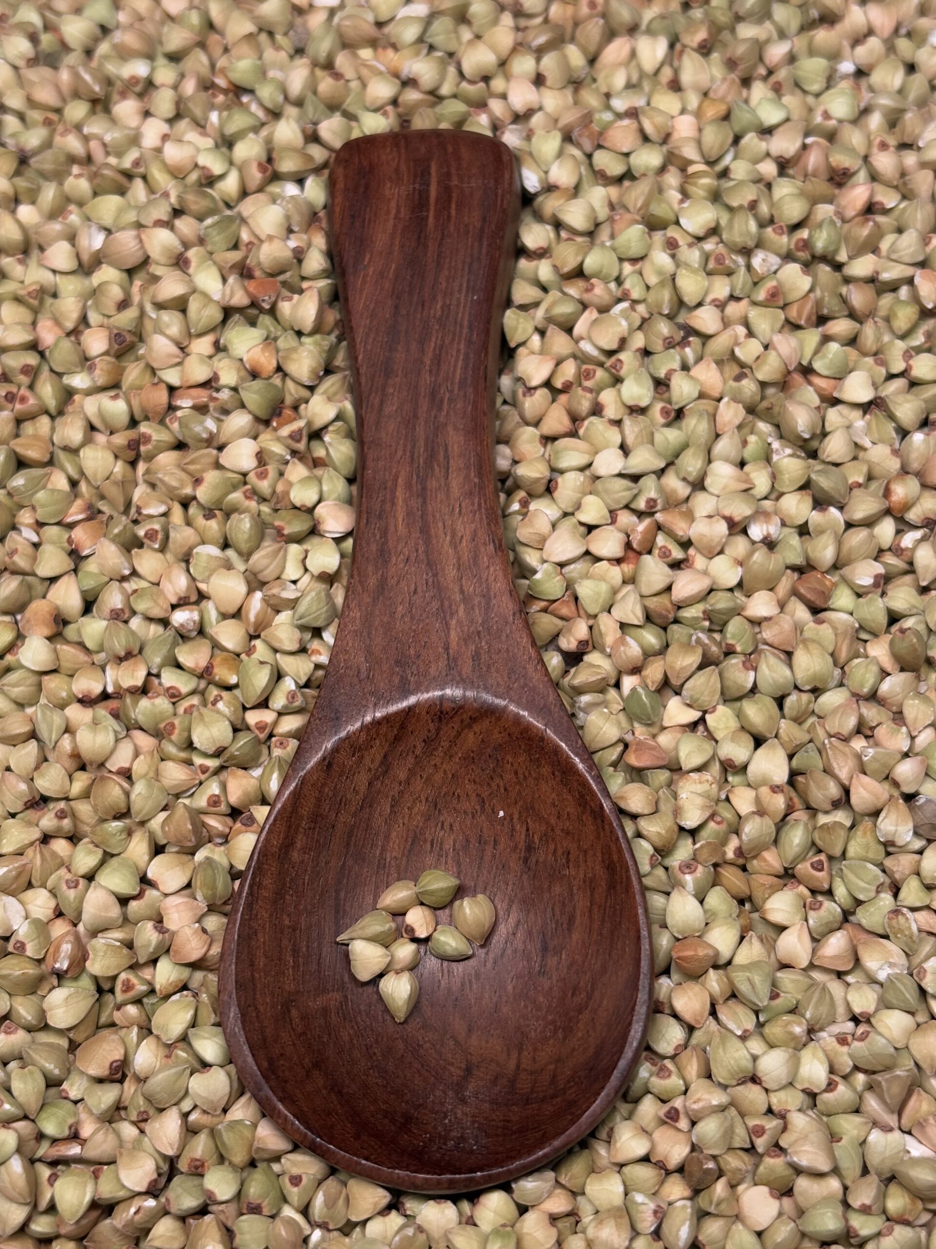 Buckwheat 3