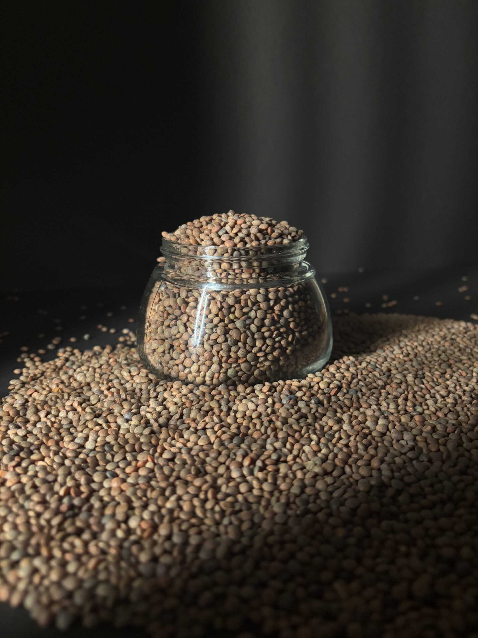 Brown Lentil 2