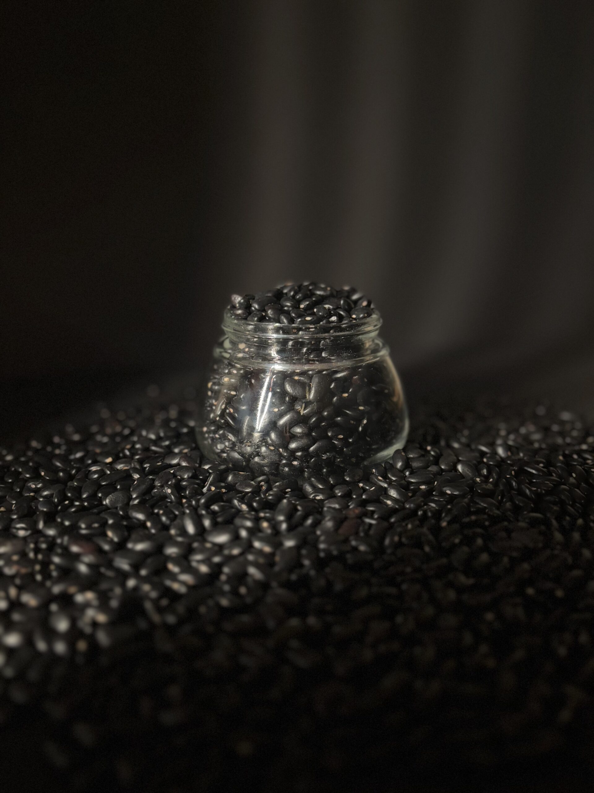 Black Bean 3