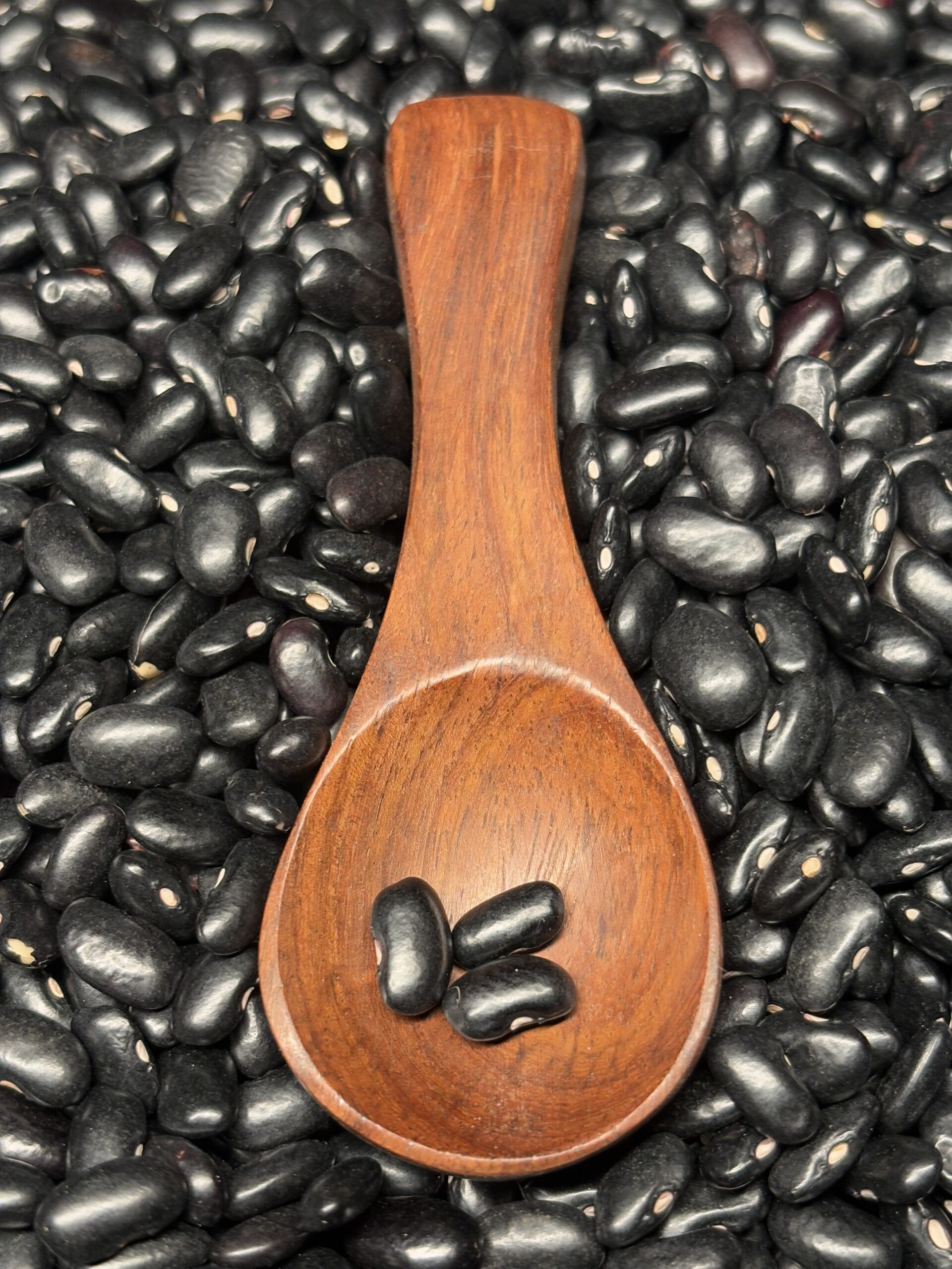 Black Bean 3